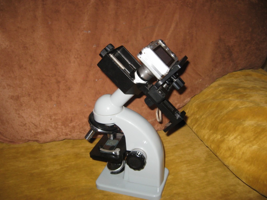 Experimente sub microscop