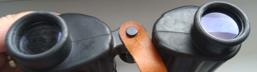 IMG_20250212_142748.jpg