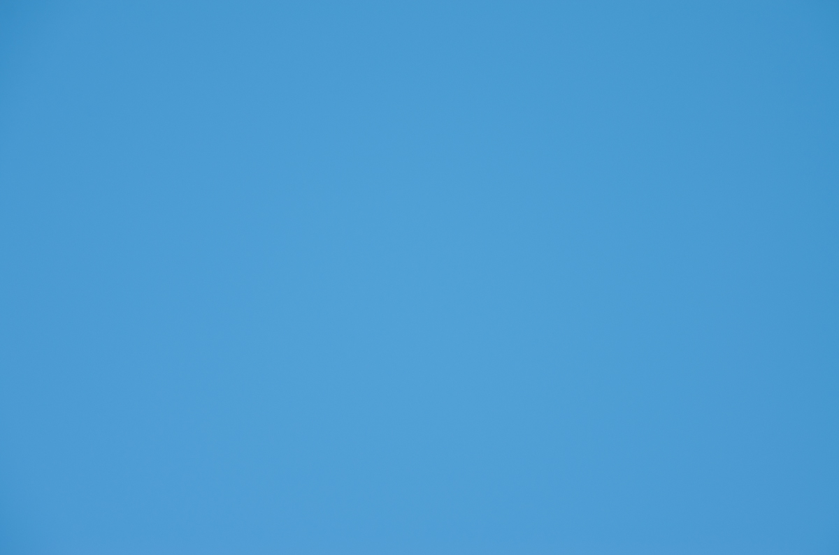 IMGP6031.jpg