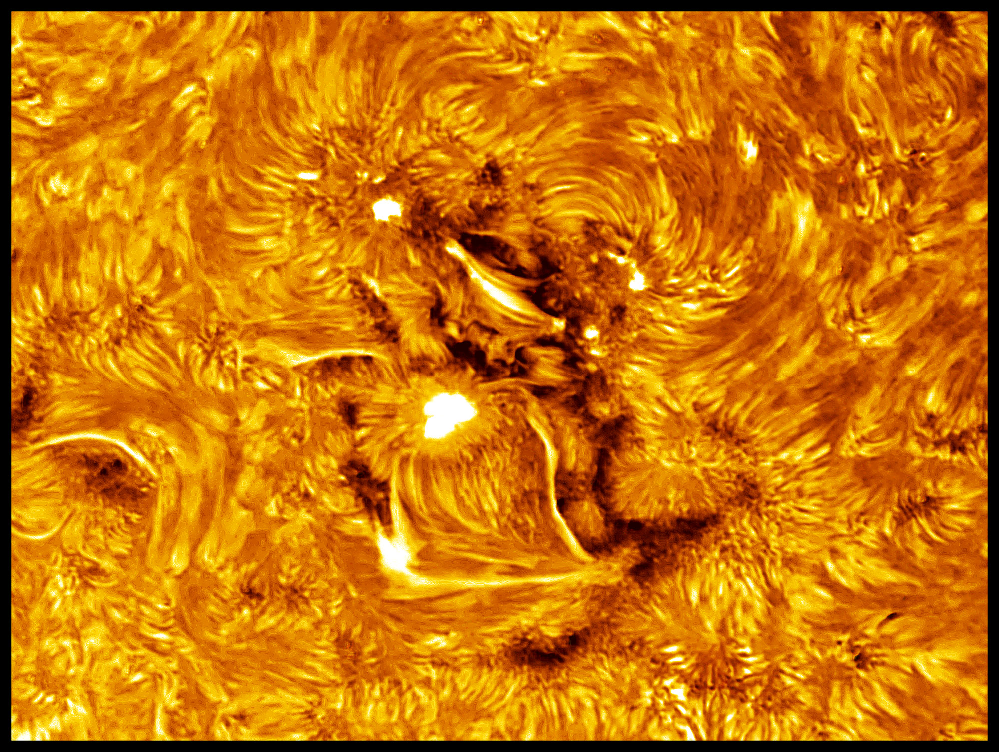 inv zz1 col2 JG red.jpg