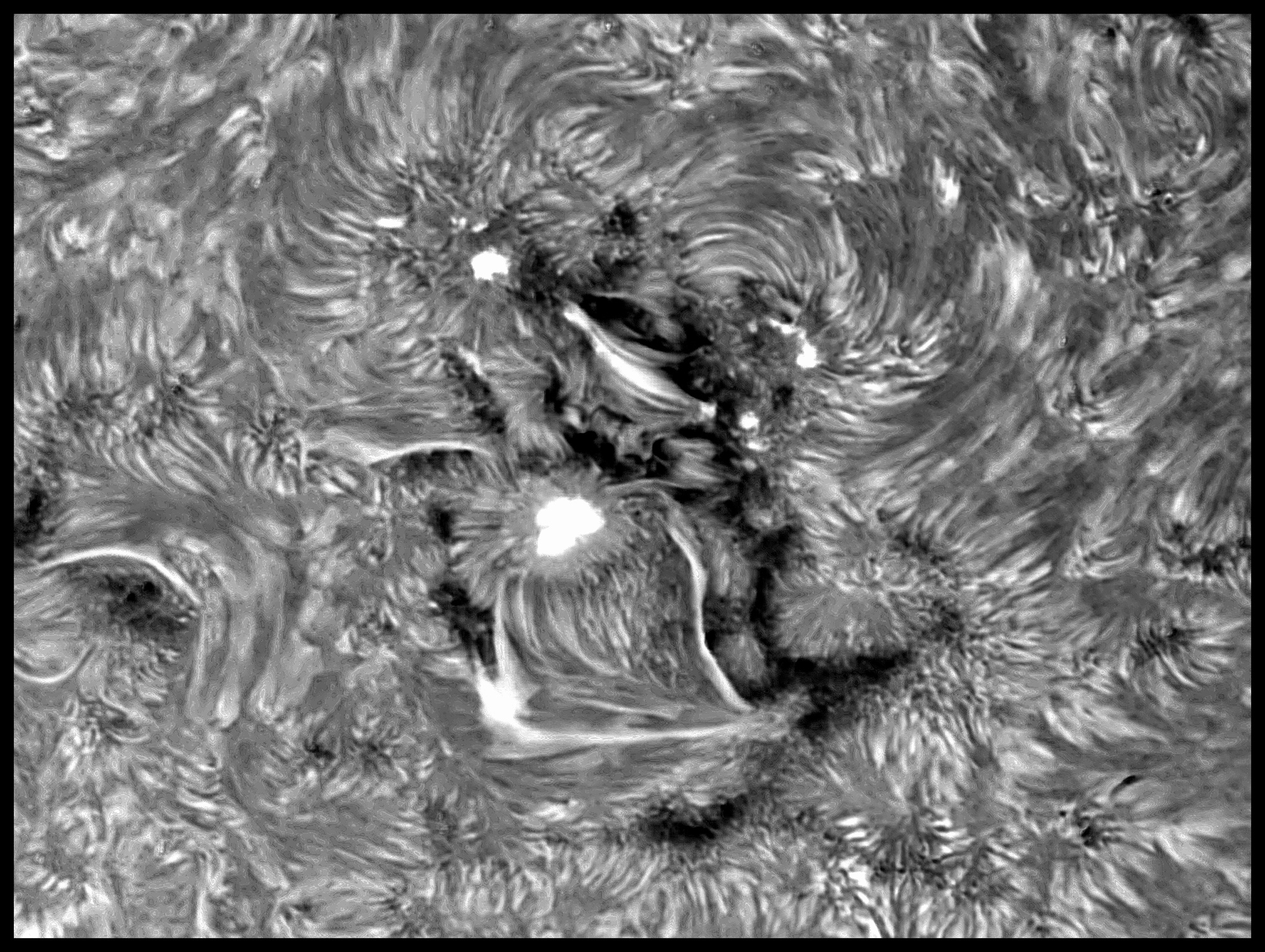 inv zz1 PS1 JG red.jpg