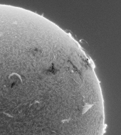 Inverse Ser_F01-33 CROP_stable_940K.gif