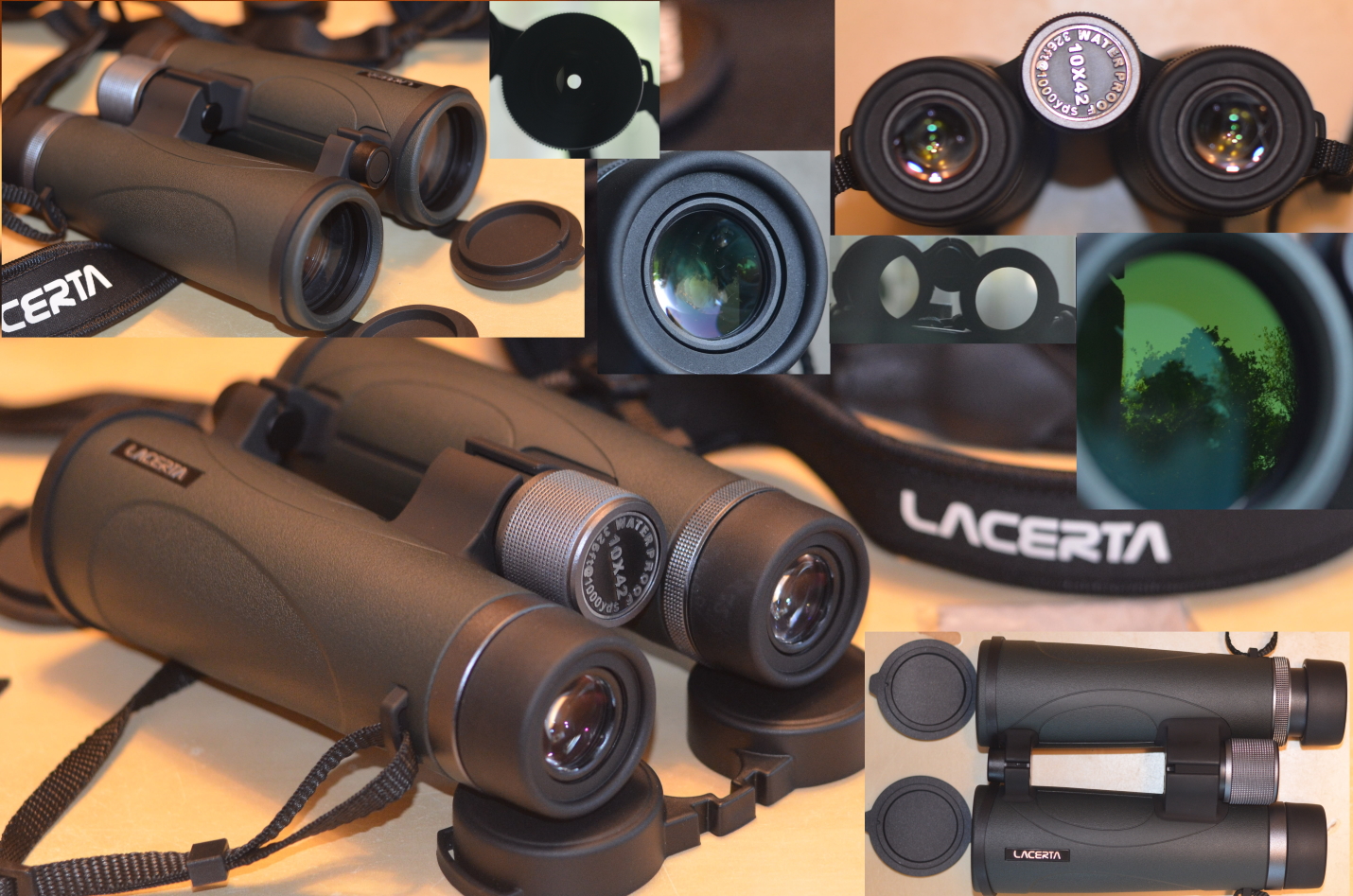 LacertaBirdingMic.jpg