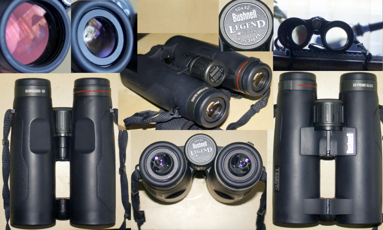 LegendM10x42m.jpg