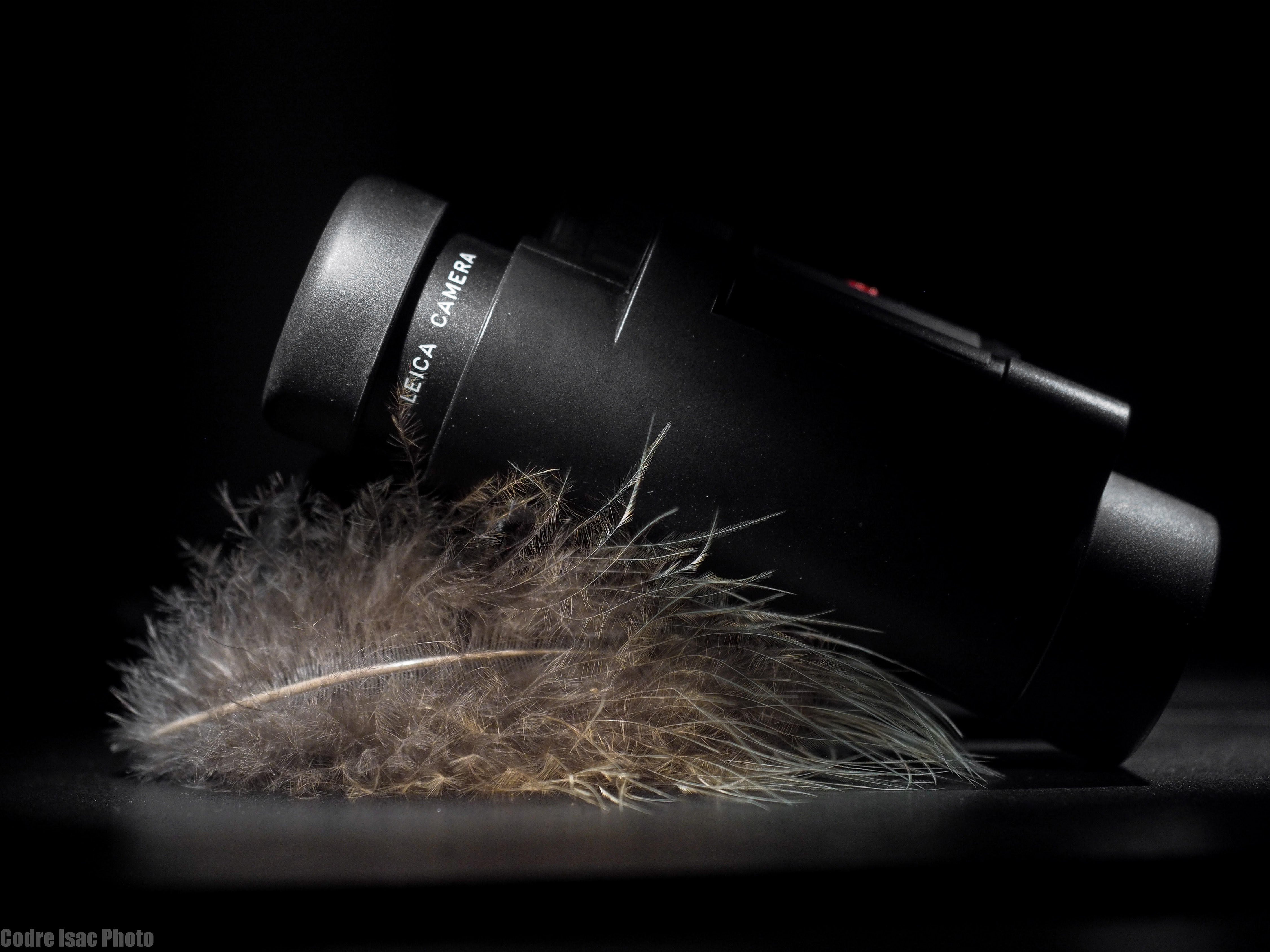 Leica Light.JPG