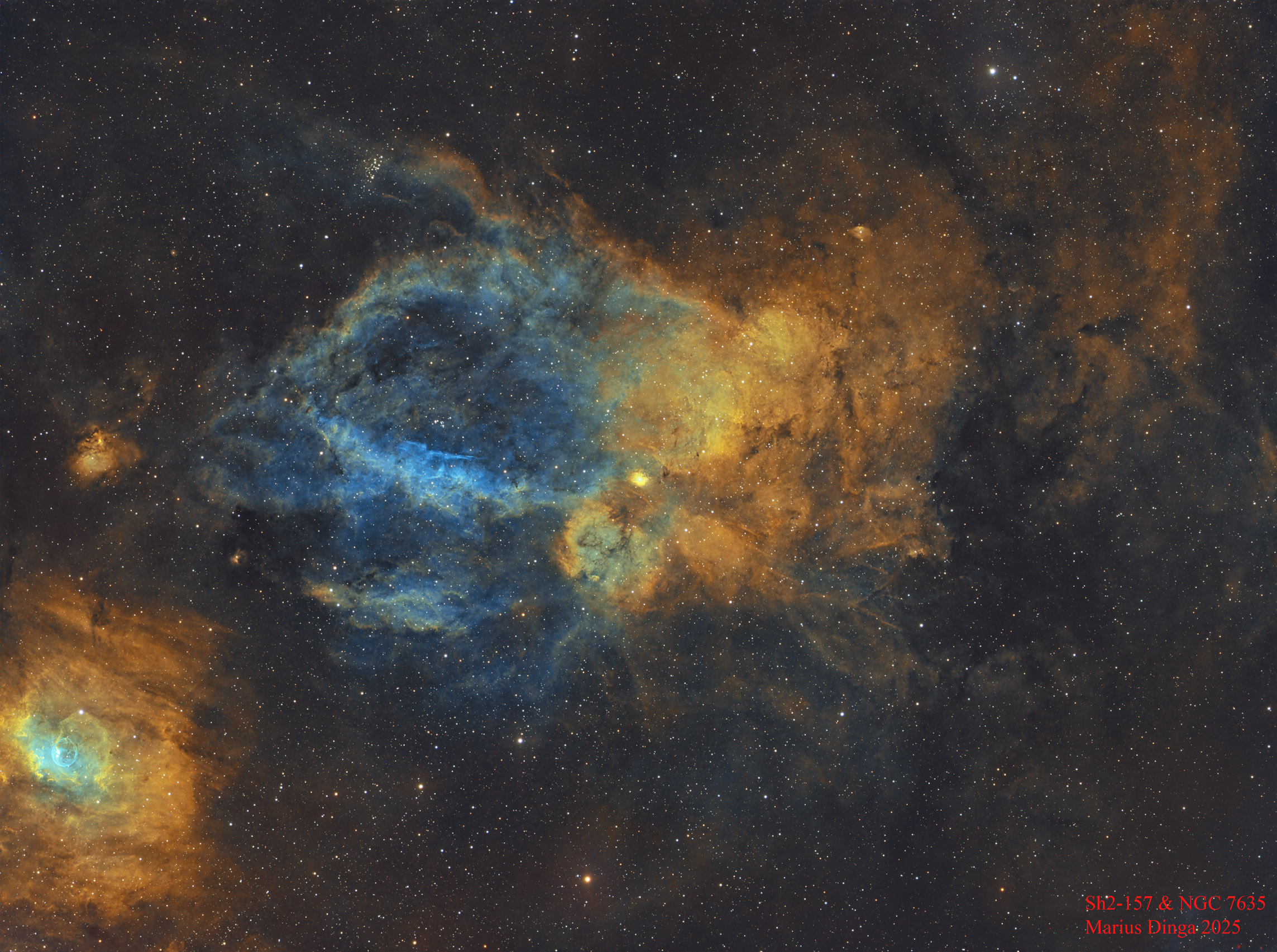 Lobster Claw & Bubble_SHO_resize.jpg