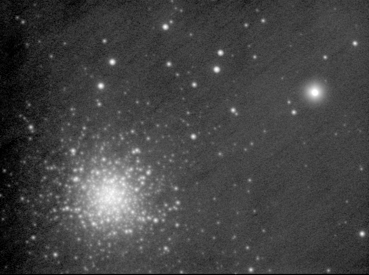 M13.jpg