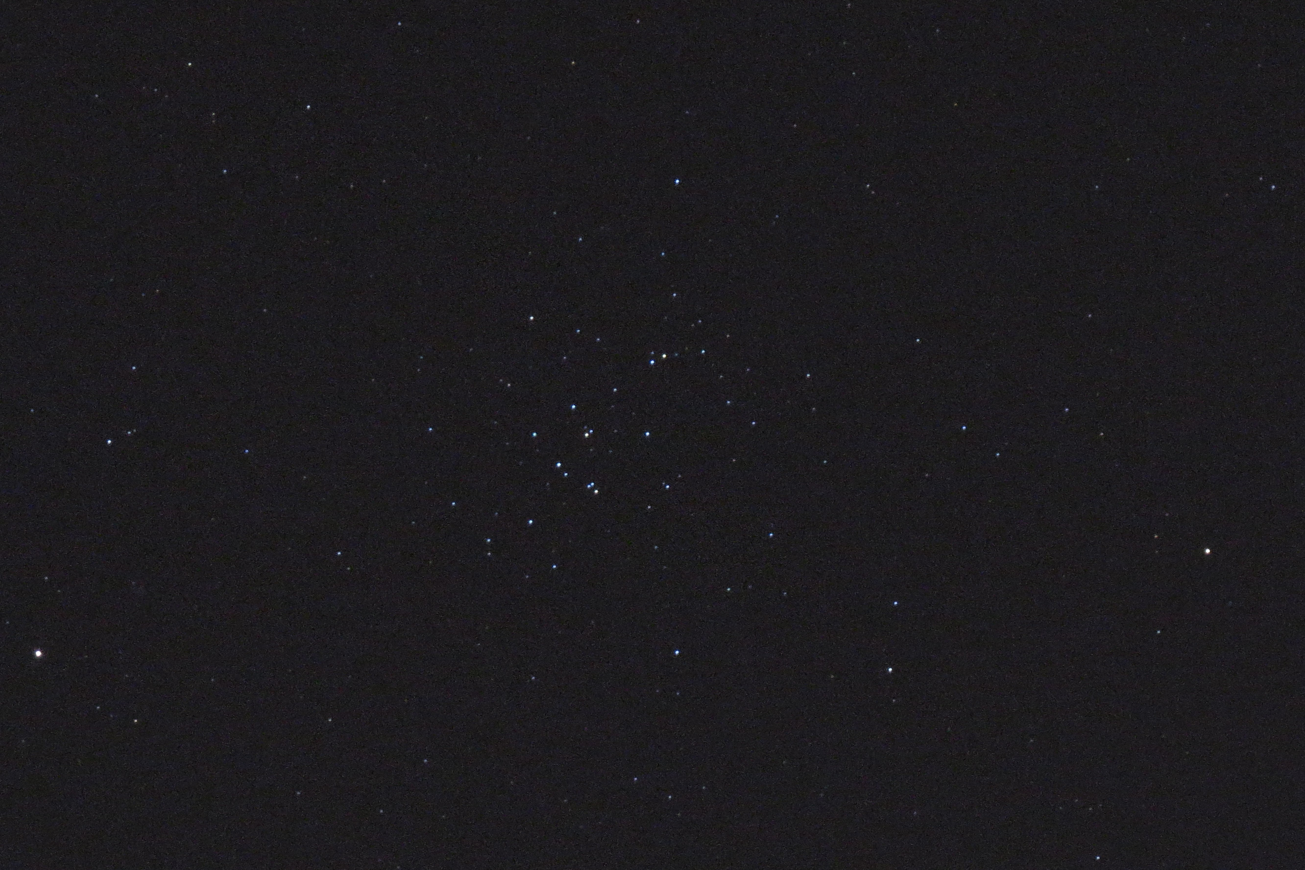 M44-manual-30s.jpg