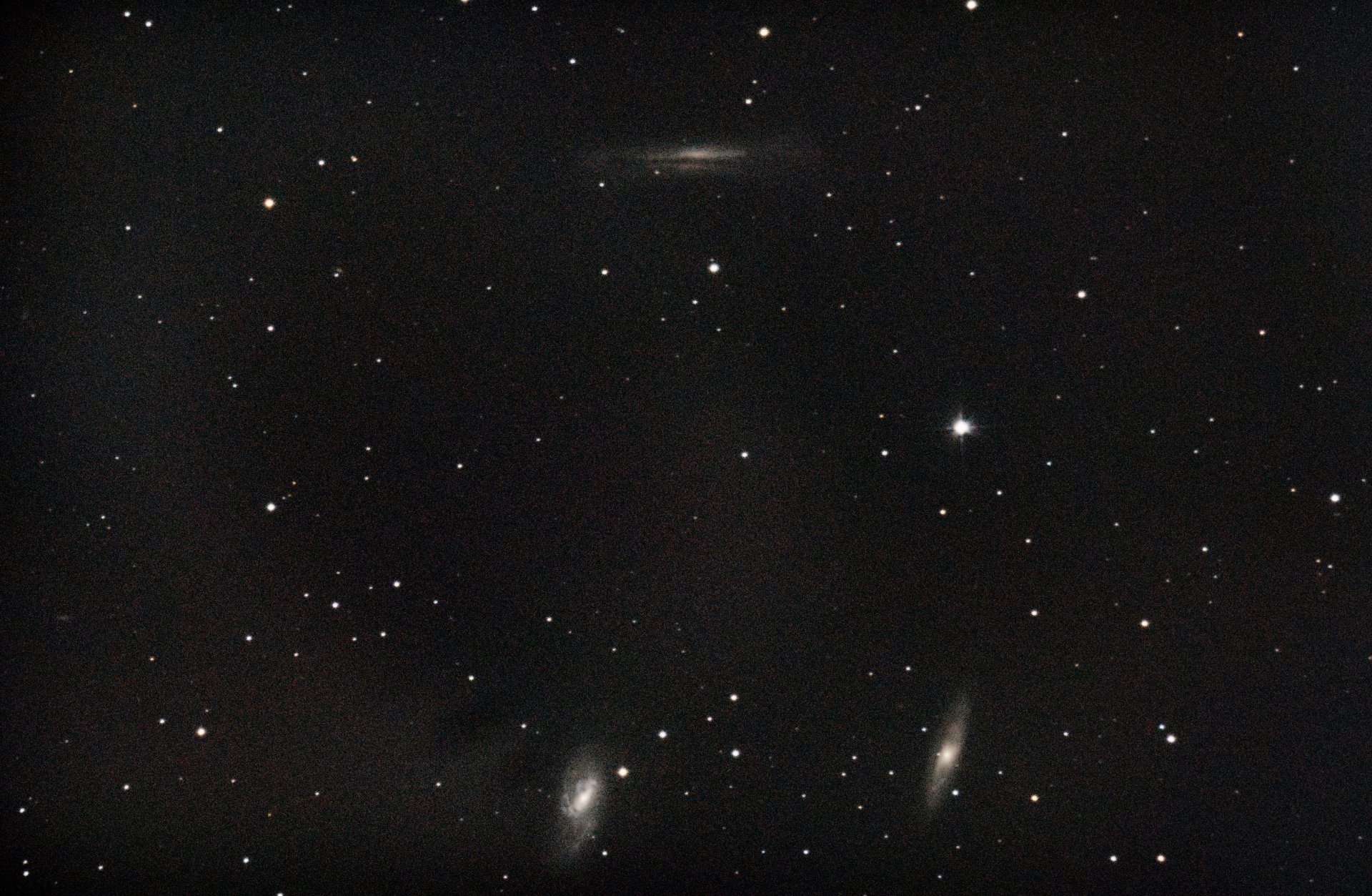 M65 M66 NGC 3628.jpg