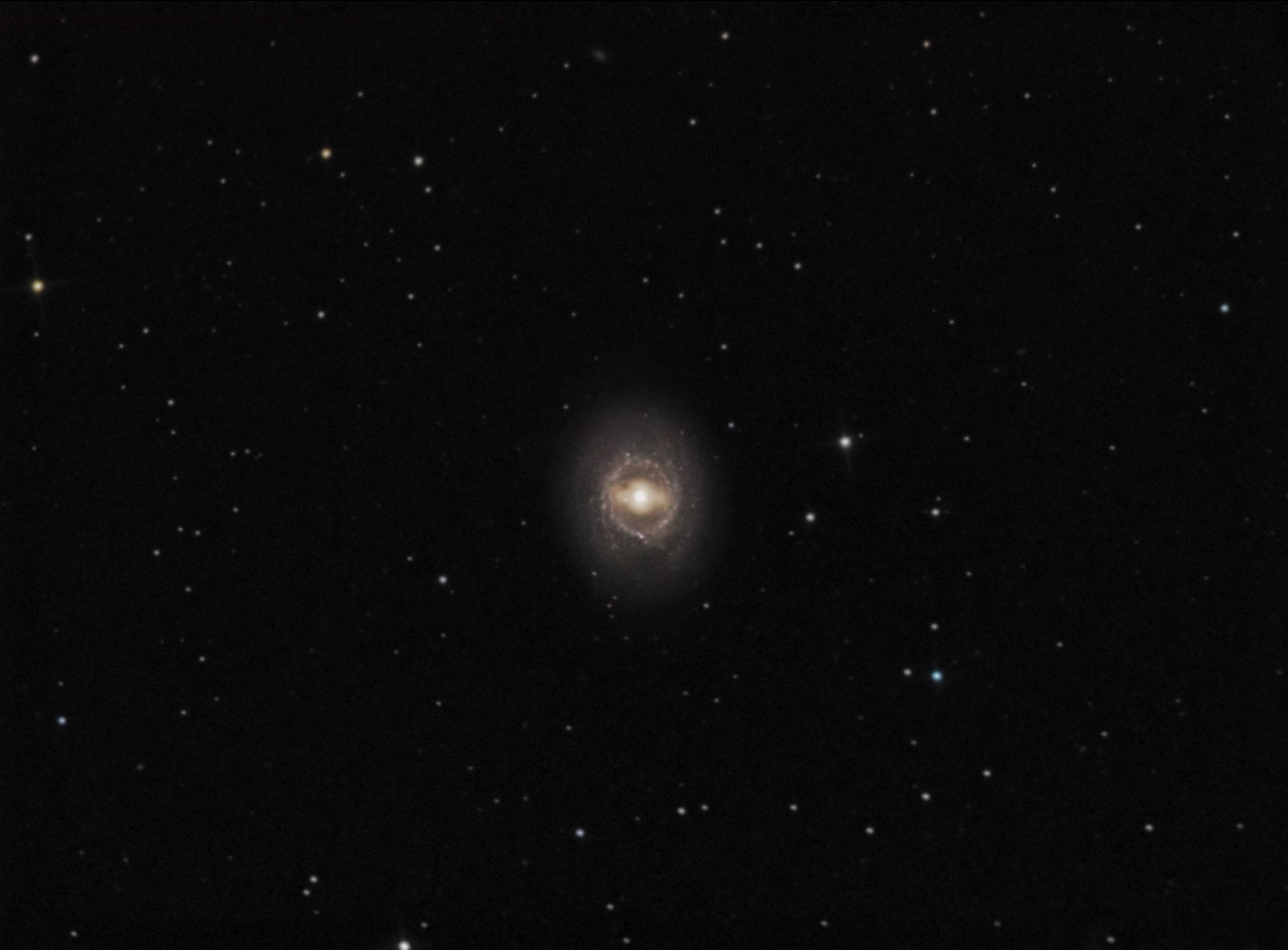 M95-color.jpg