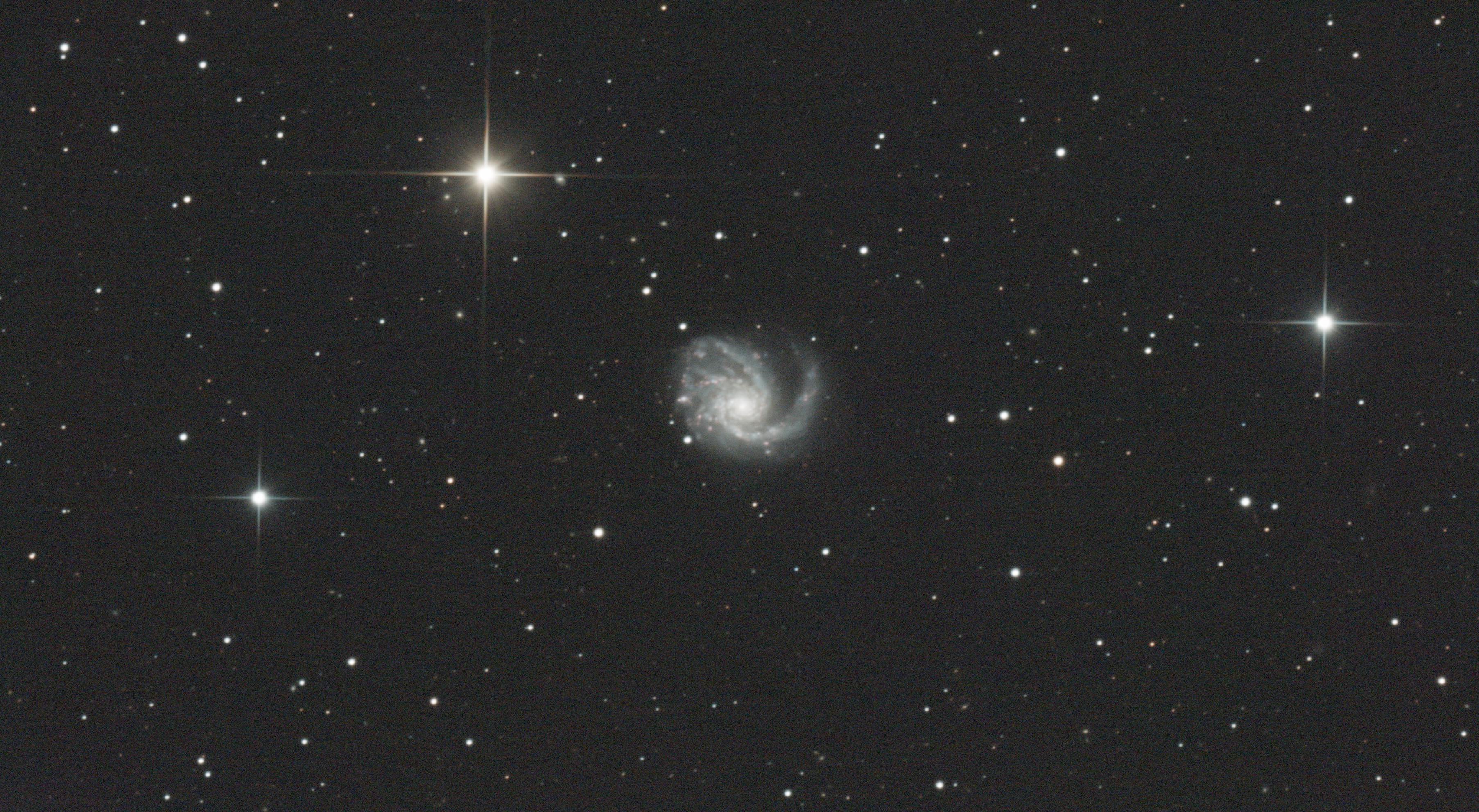 M99_STF.jpg