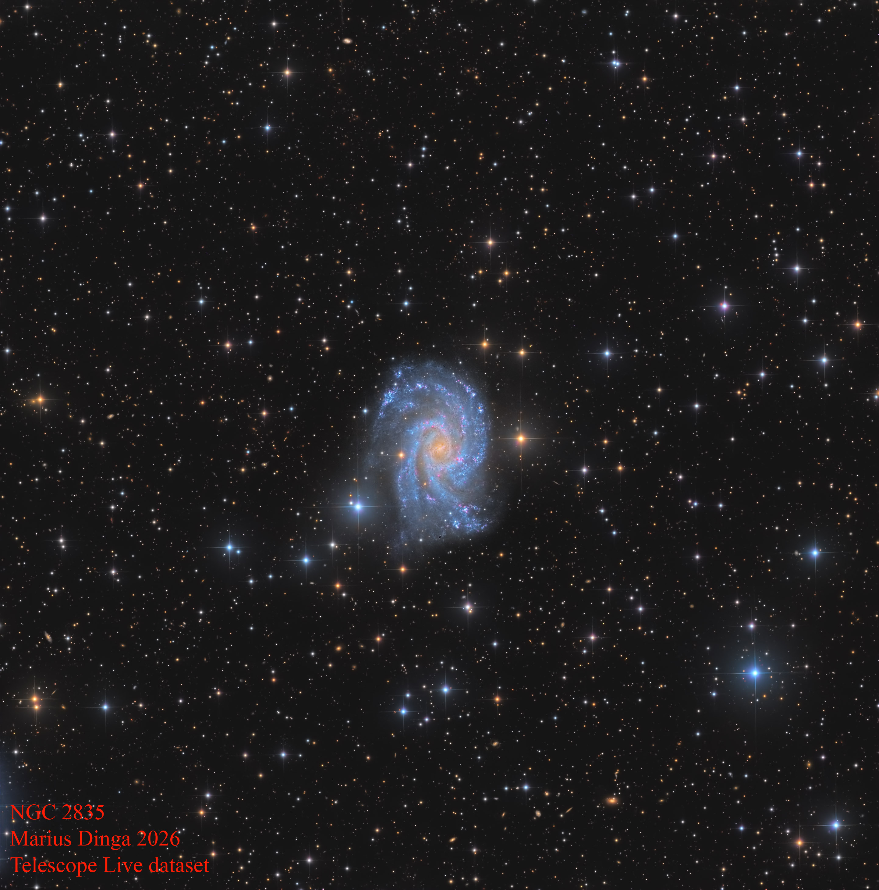 NGC 2835_sign.jpg