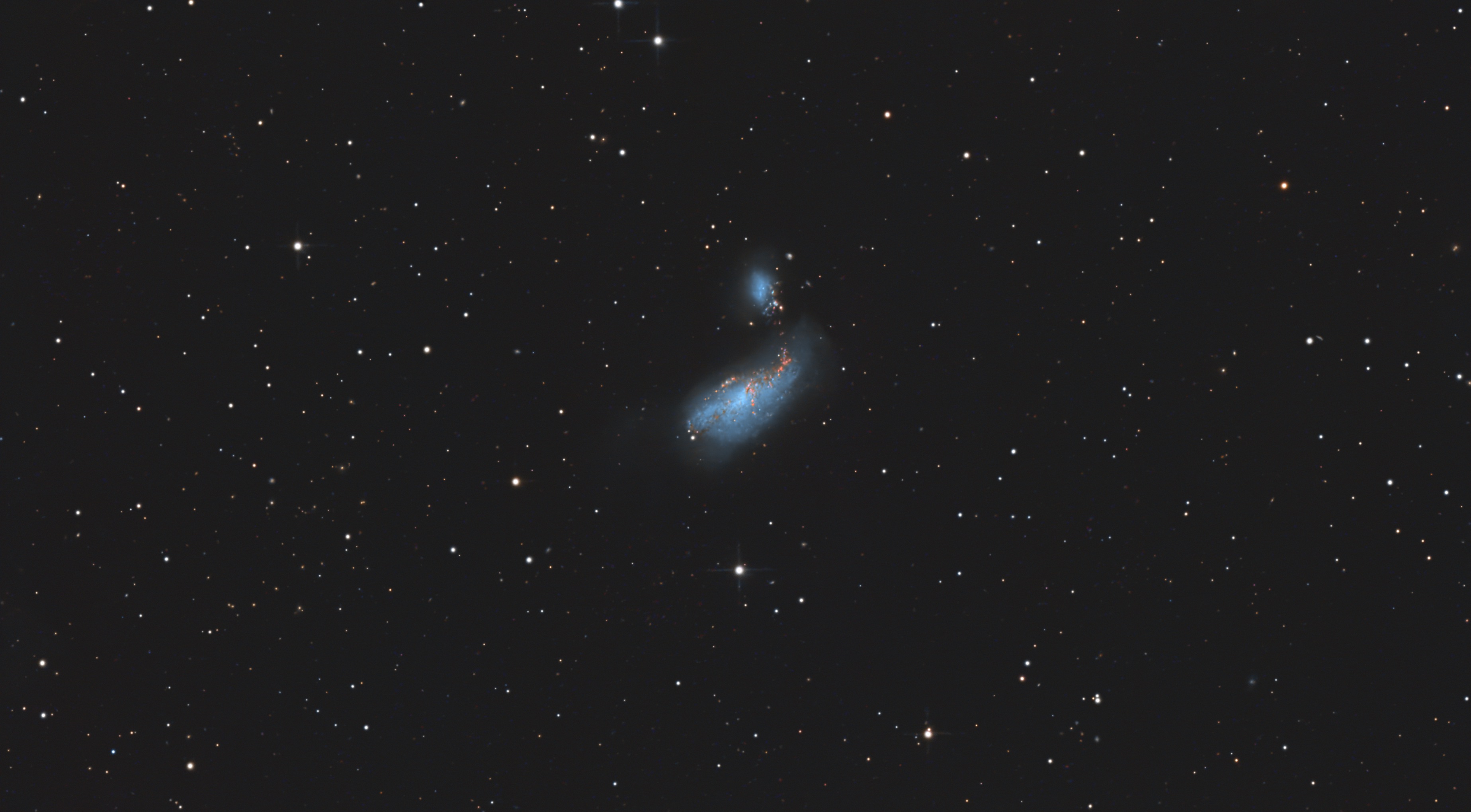 NGC 4490_ Cocoon Galaxy.jpg