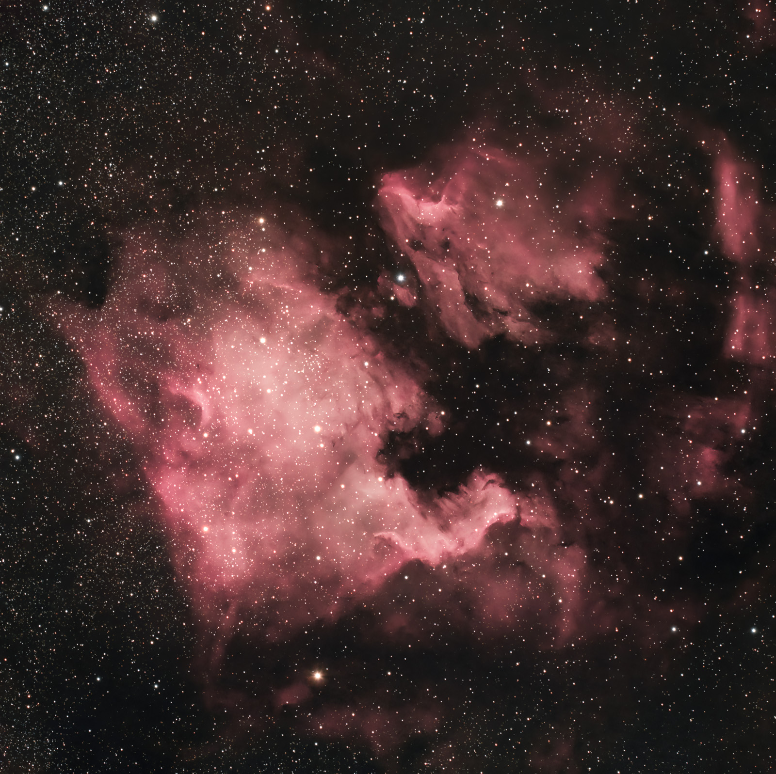 NorthAmericaNebula_fara_flat_final_1_astronomy.jpg