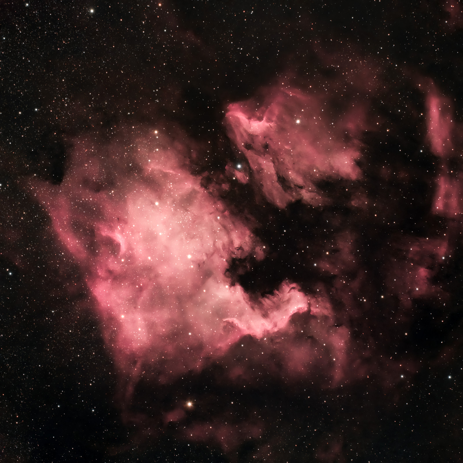 NorthAmericaNebula_fara_flat_final_4_astronomy.jpg
