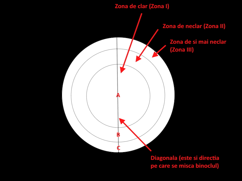 NVA.jpg
