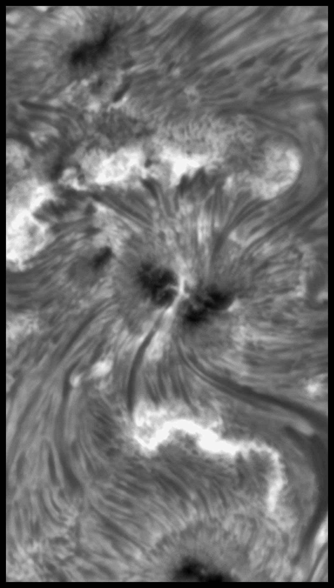 PS1 ZZ PS2 red JG.jpg