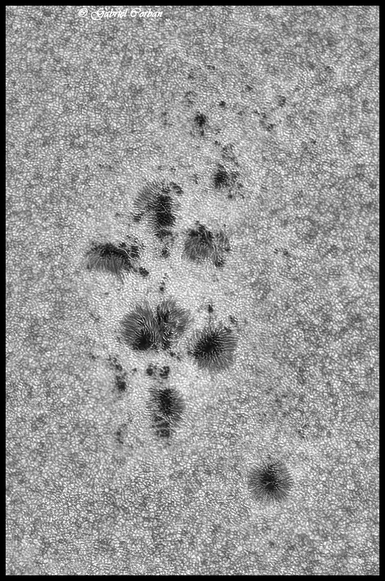 PS4 JG 750 Tx Brd 3.jpg