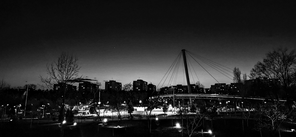 PXL_20220130_160936737.NIGHT.jpg