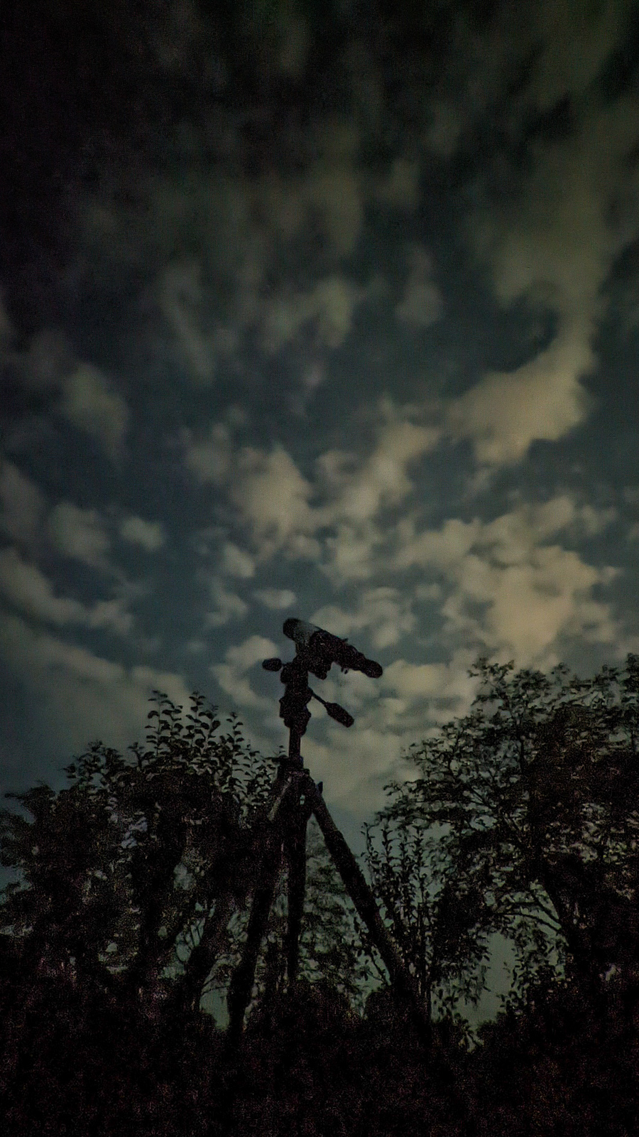 PXL_20220813_204219865.NIGHT.jpg