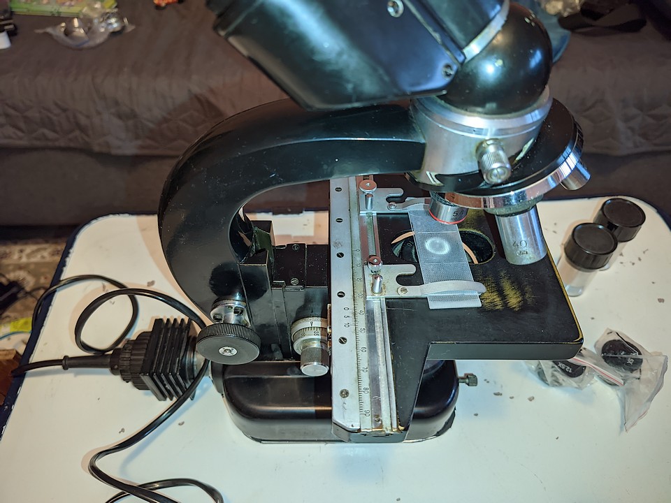 PXL_20250408_155243030.jpg