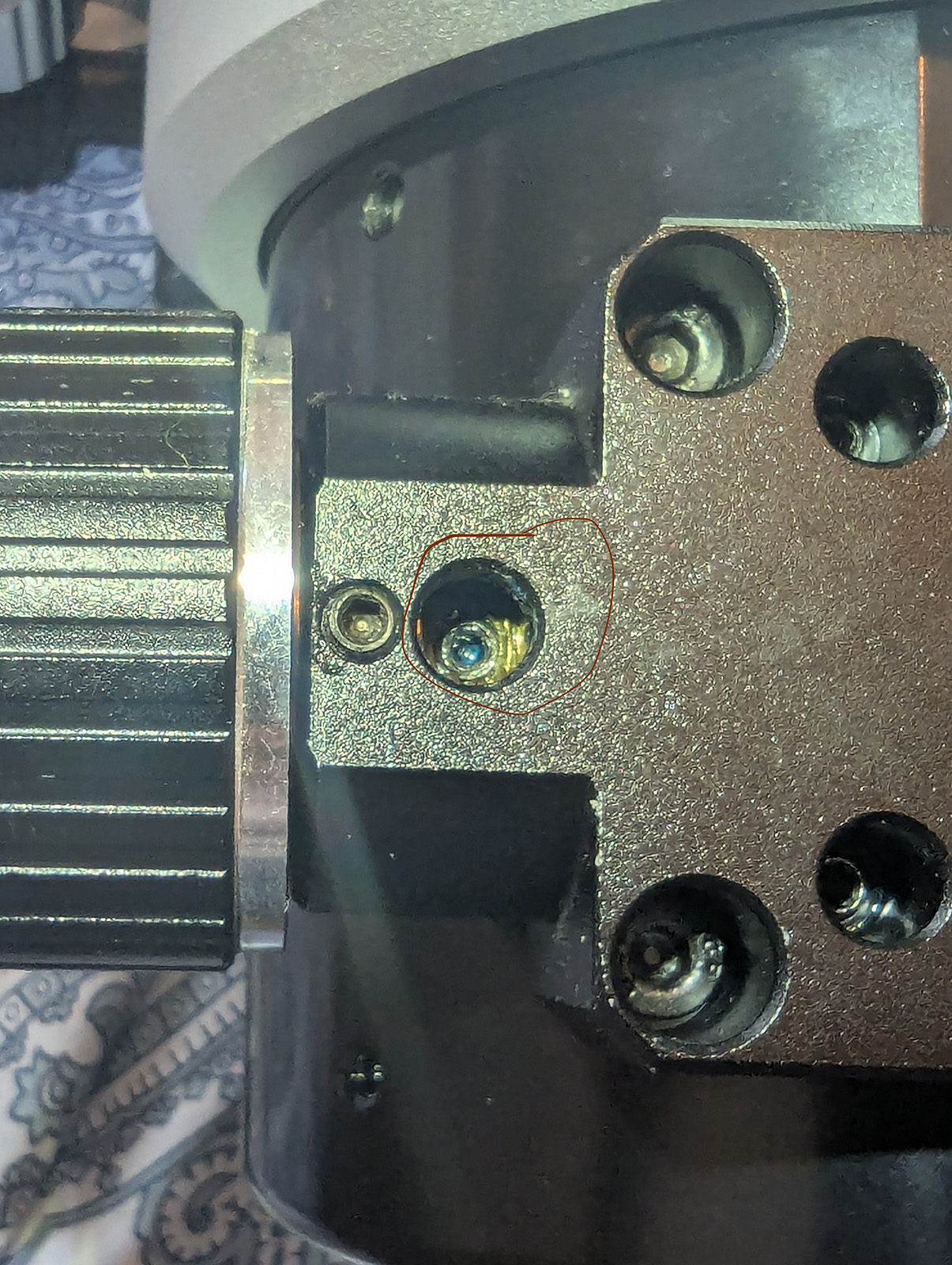 PXL_20250710_135700048.jpg