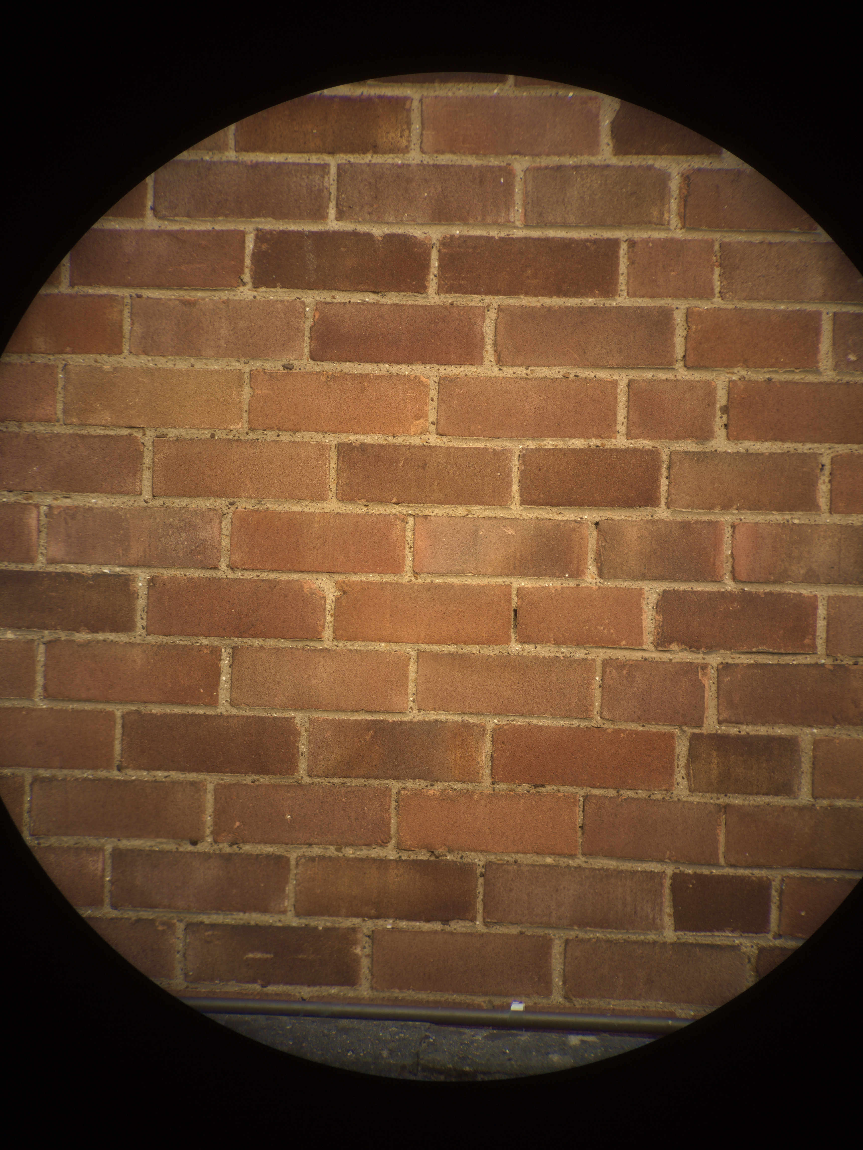 R1.jpg
