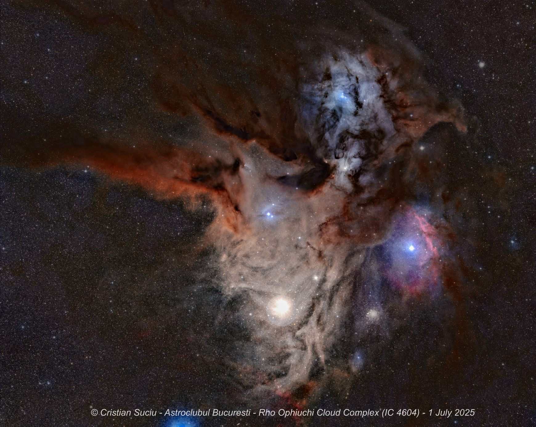 Regiunea Rho Ophiuchi.jpg
