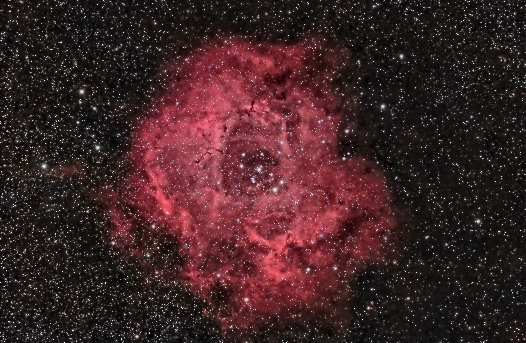 Rosette_5feb_PI+PS.jpg