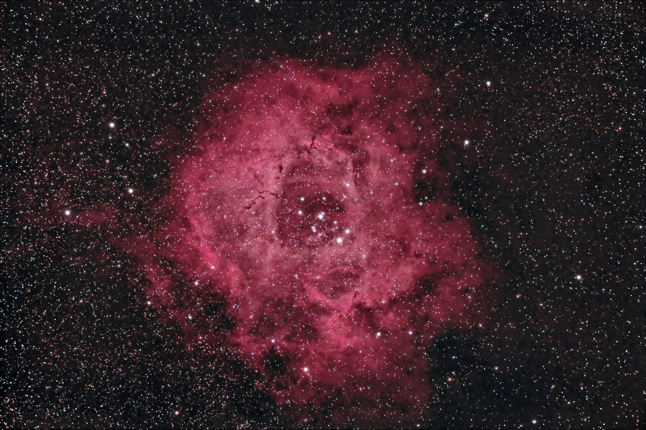 Rosette-5feb-PS.jpg