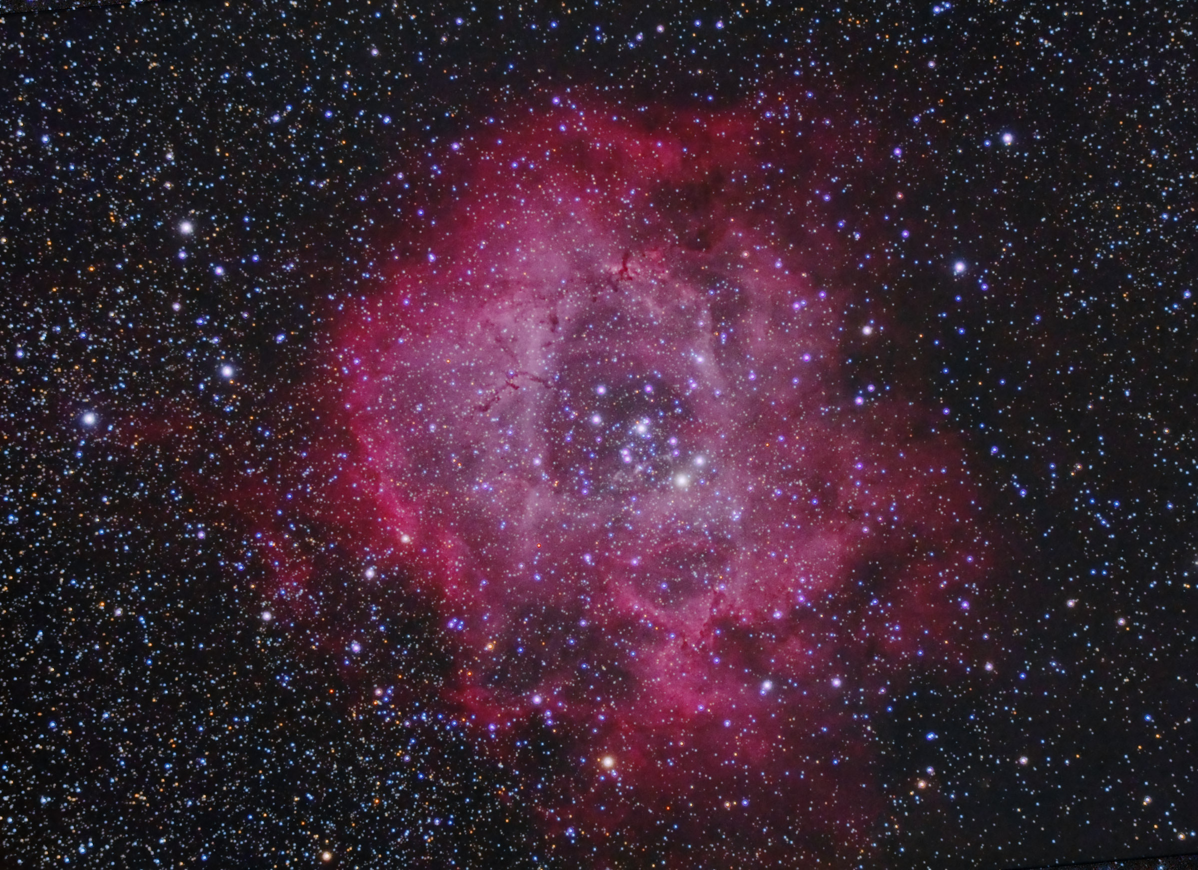 Rosette-7&8ian-PS.jpg