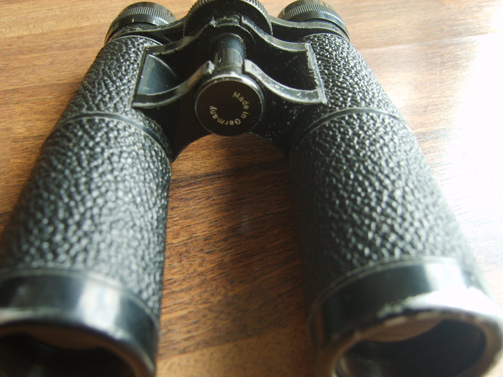 S8000552.JPG