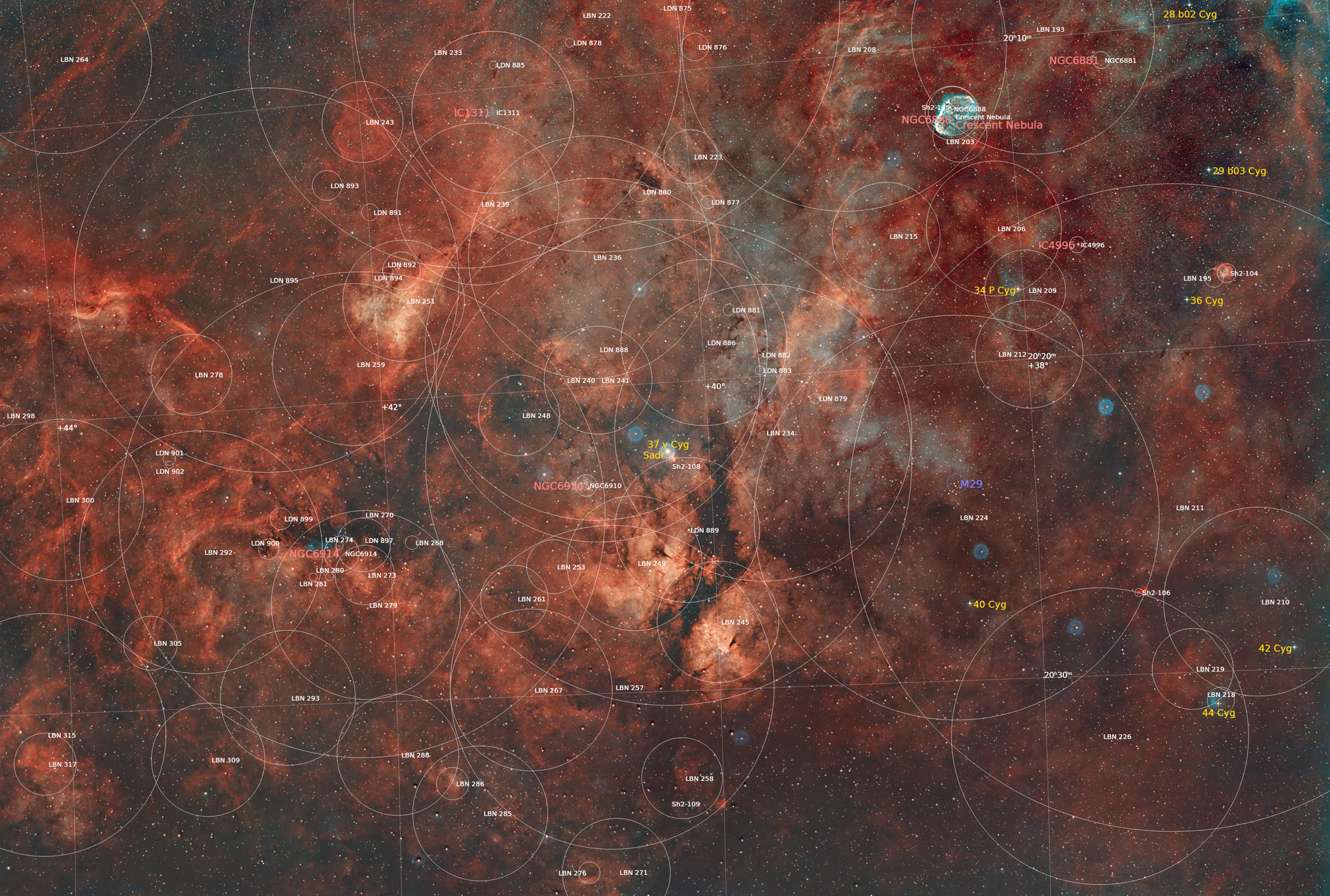 Sadr wide field_0.5x_annotated.jpg