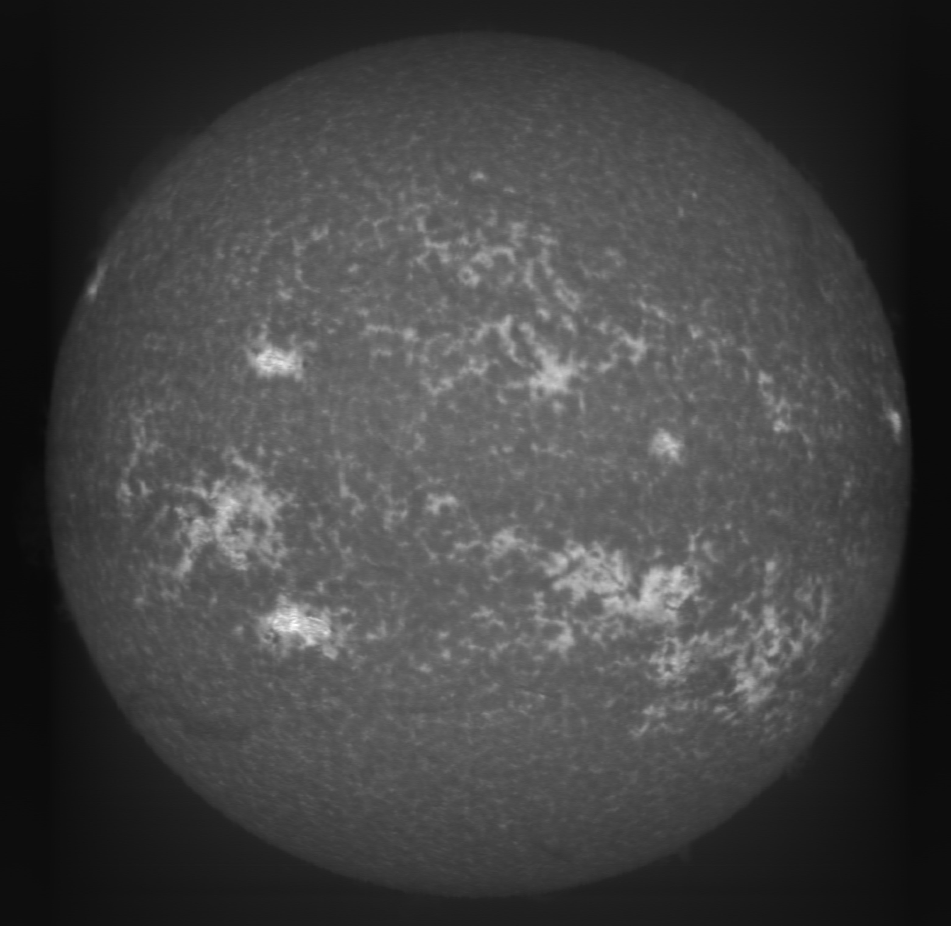 Sun_CaII-K_3933_15-06-2024_09-53UT.jpg