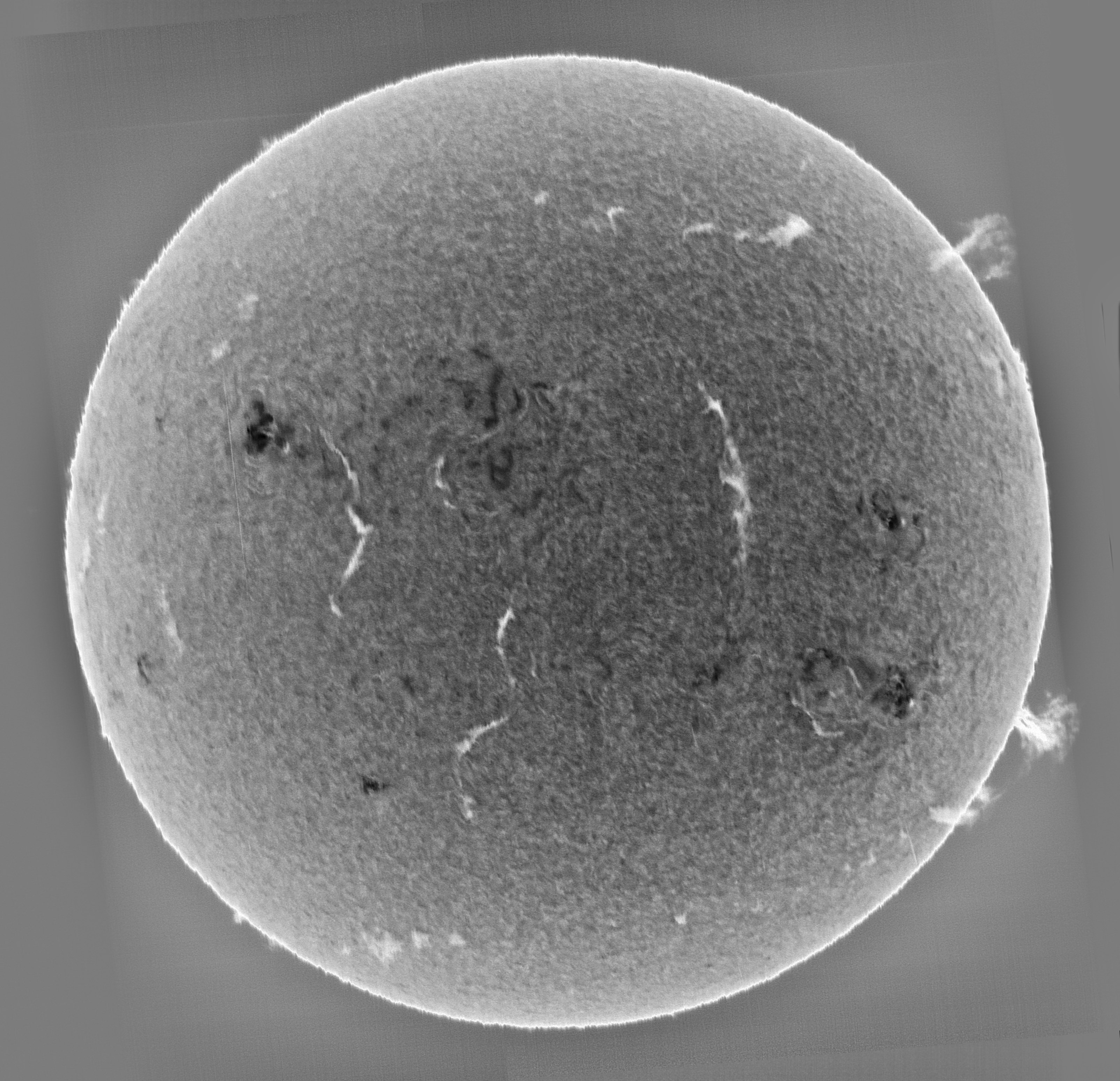 Sun_H-alpha1-invert.jpg
