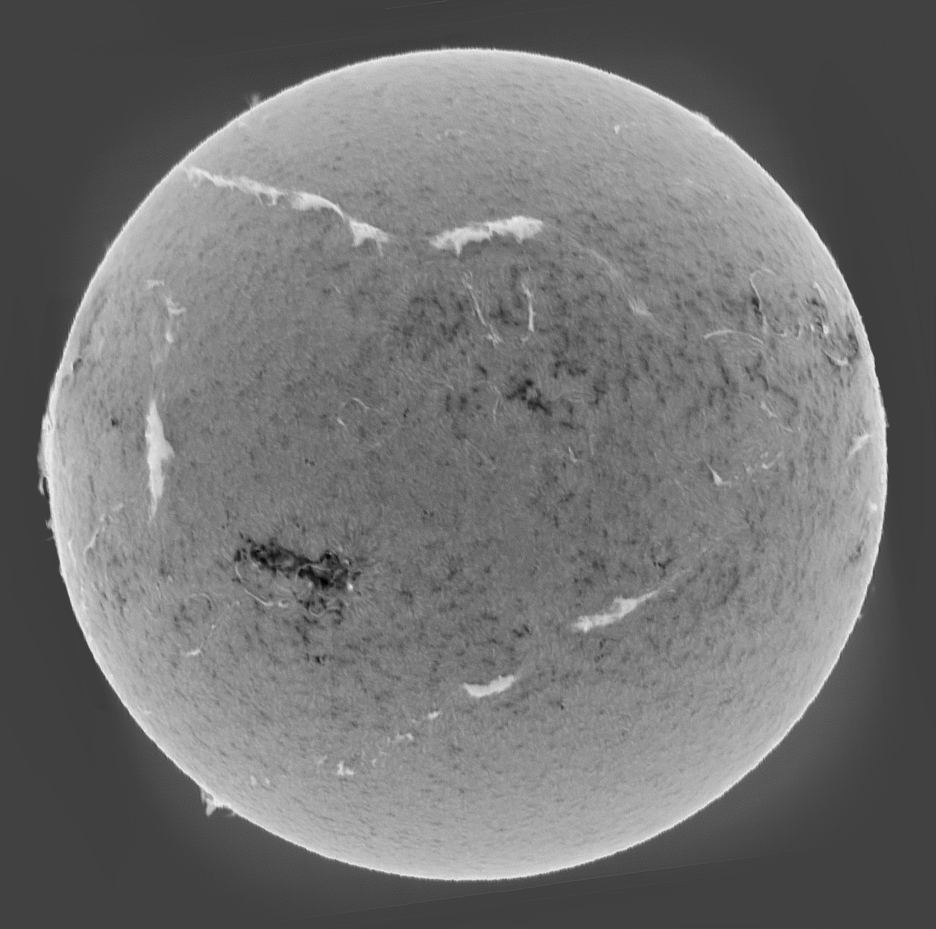 Sun_H-alpha_15-scans-stack_SHG60mm_22-06-2025-invert.jpg
