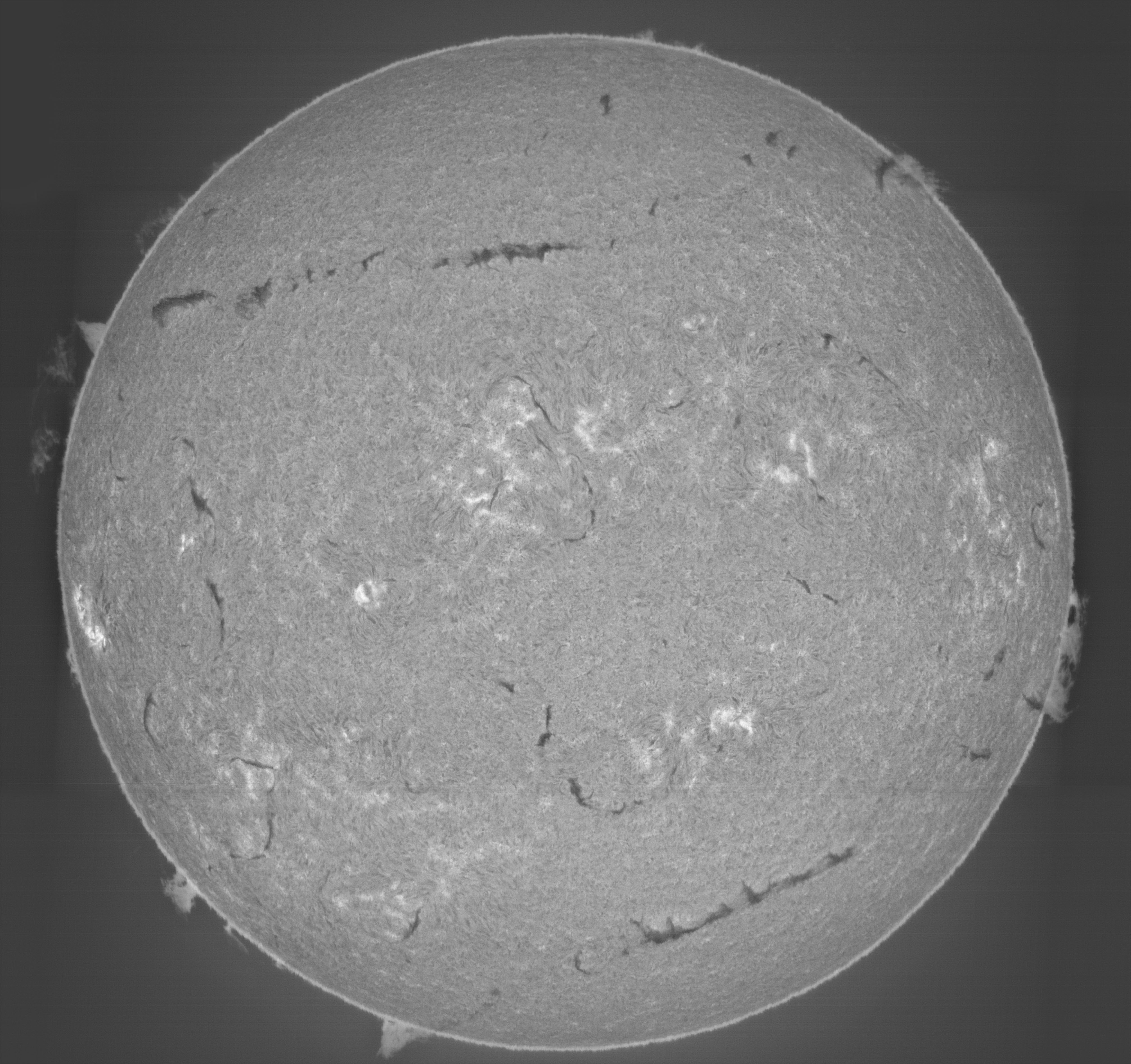 Sun_H-alpha-mosaic_SHG80mm_ASI178MM_21-08-2025(2).jpg