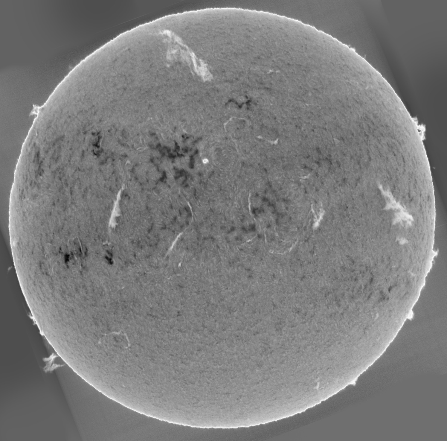 Sun_H-alpha_SHG60mm_18-05-2025-invert.jpg