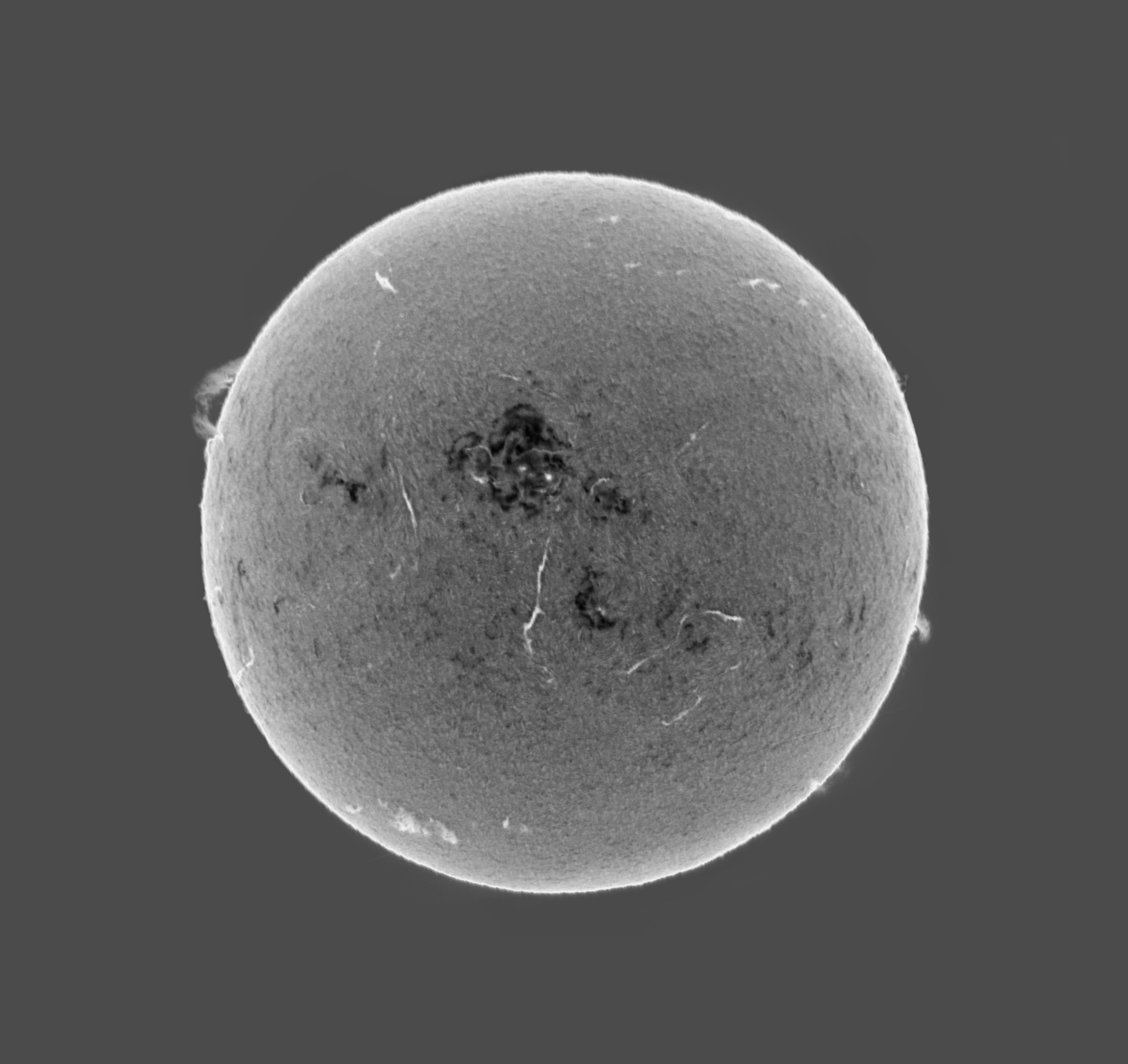 Sun_h-alpha_SHG60mm_31-05-2025-invert.jpg