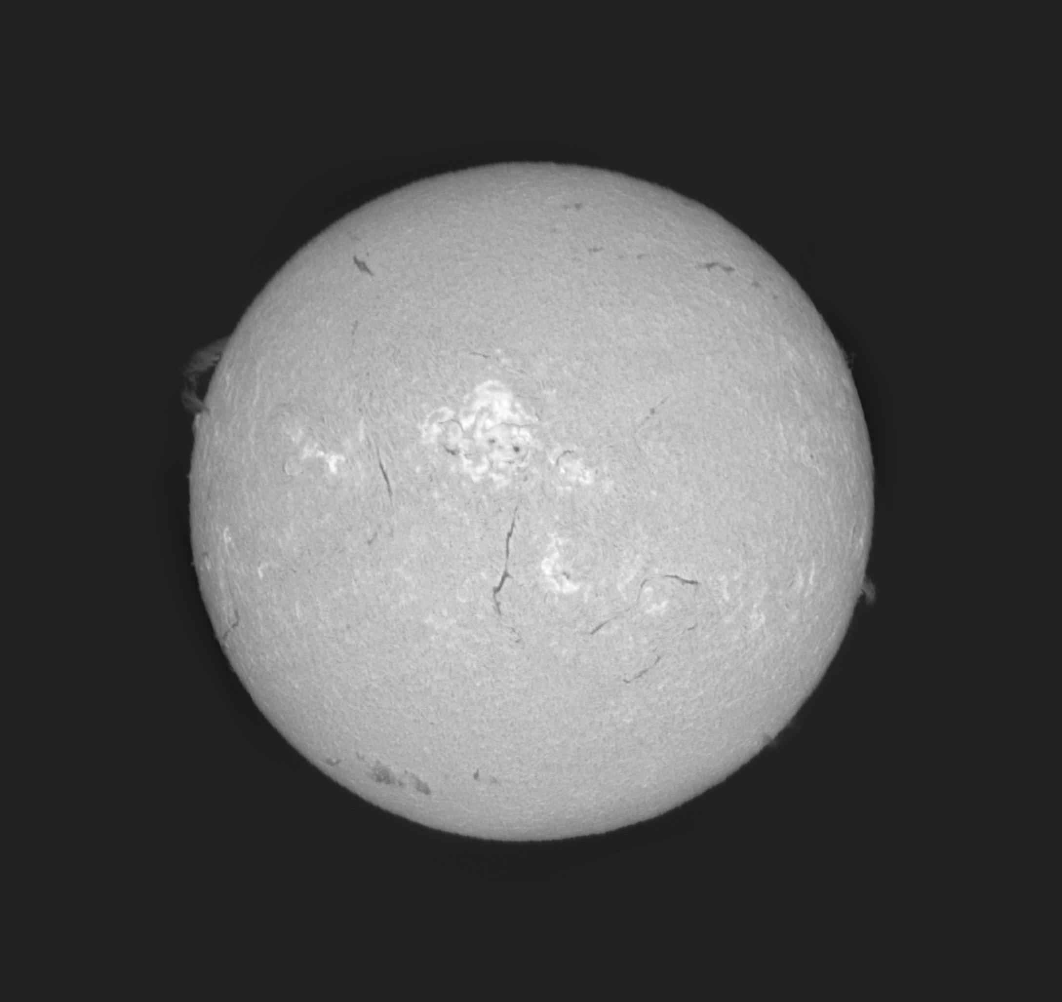 Sun_h-alpha_SHG60mm_31-05-2025-mono.jpg