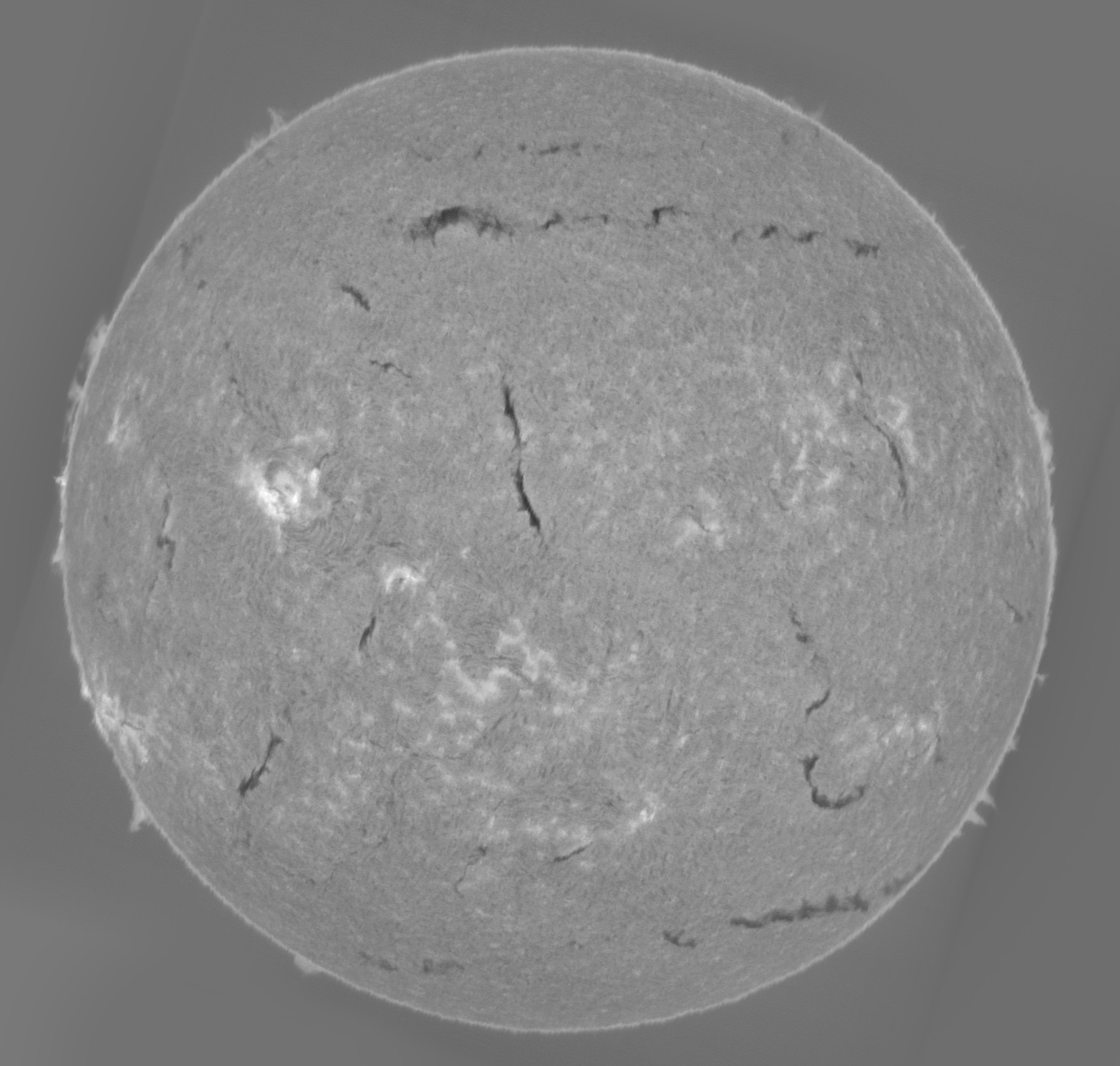 Sun_H-alpha_SHG60mm_ASI178MM_24-08-2025.jpg