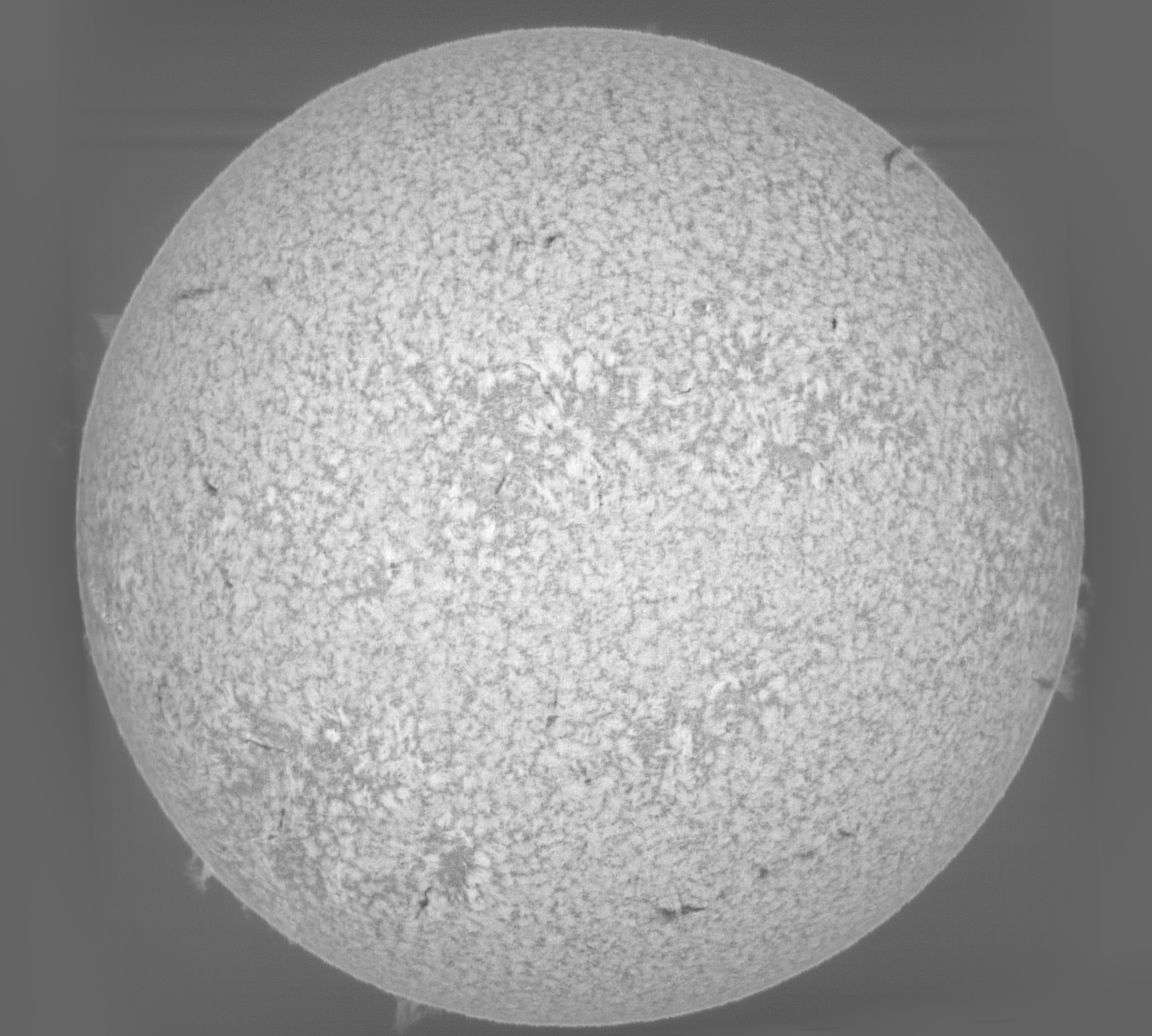 Sun_H-beta_SHG60mm_ASI178MM_21-08-2025.jpg
