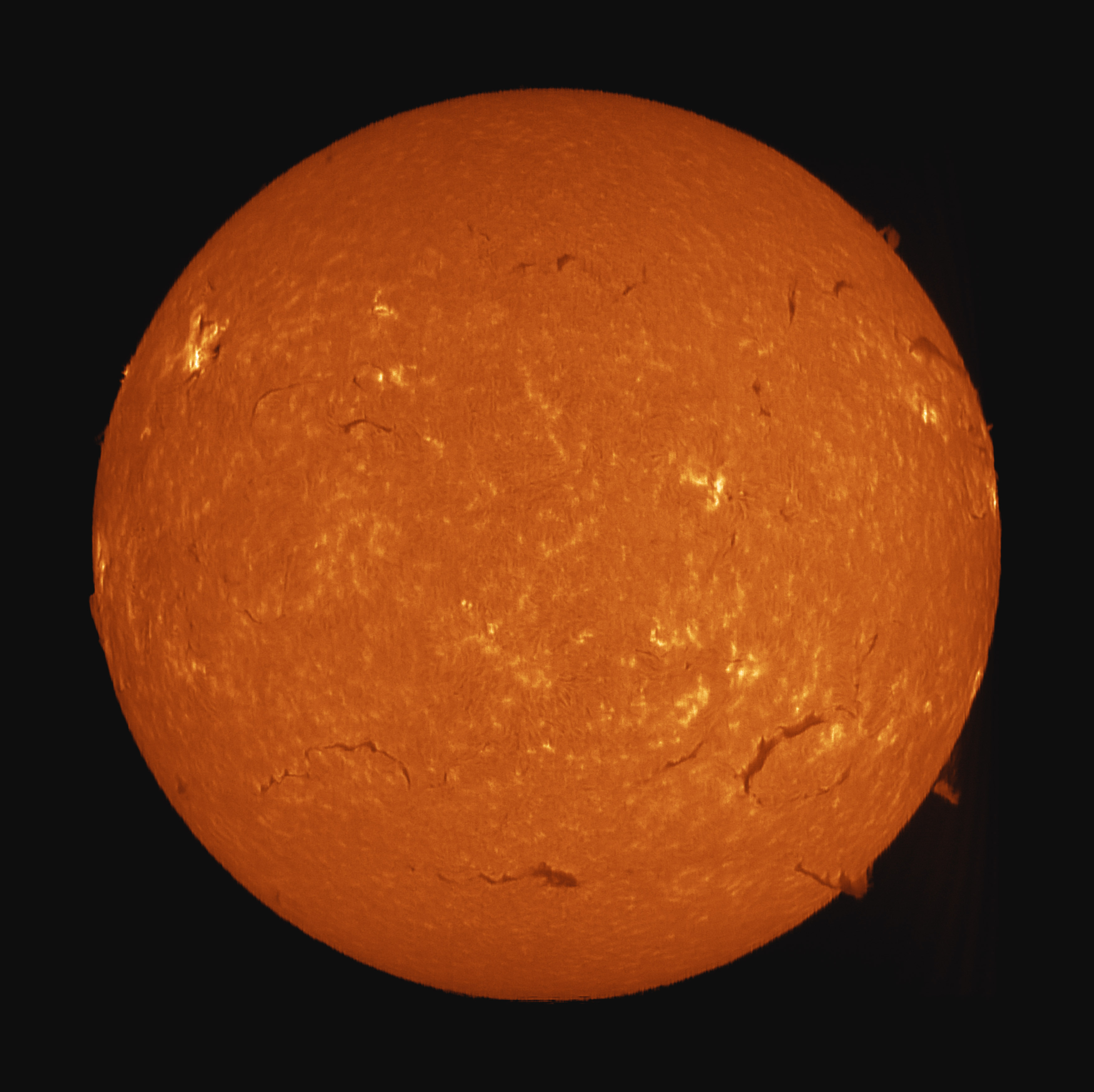 Sun_Ha_14-01-2025-color.jpg