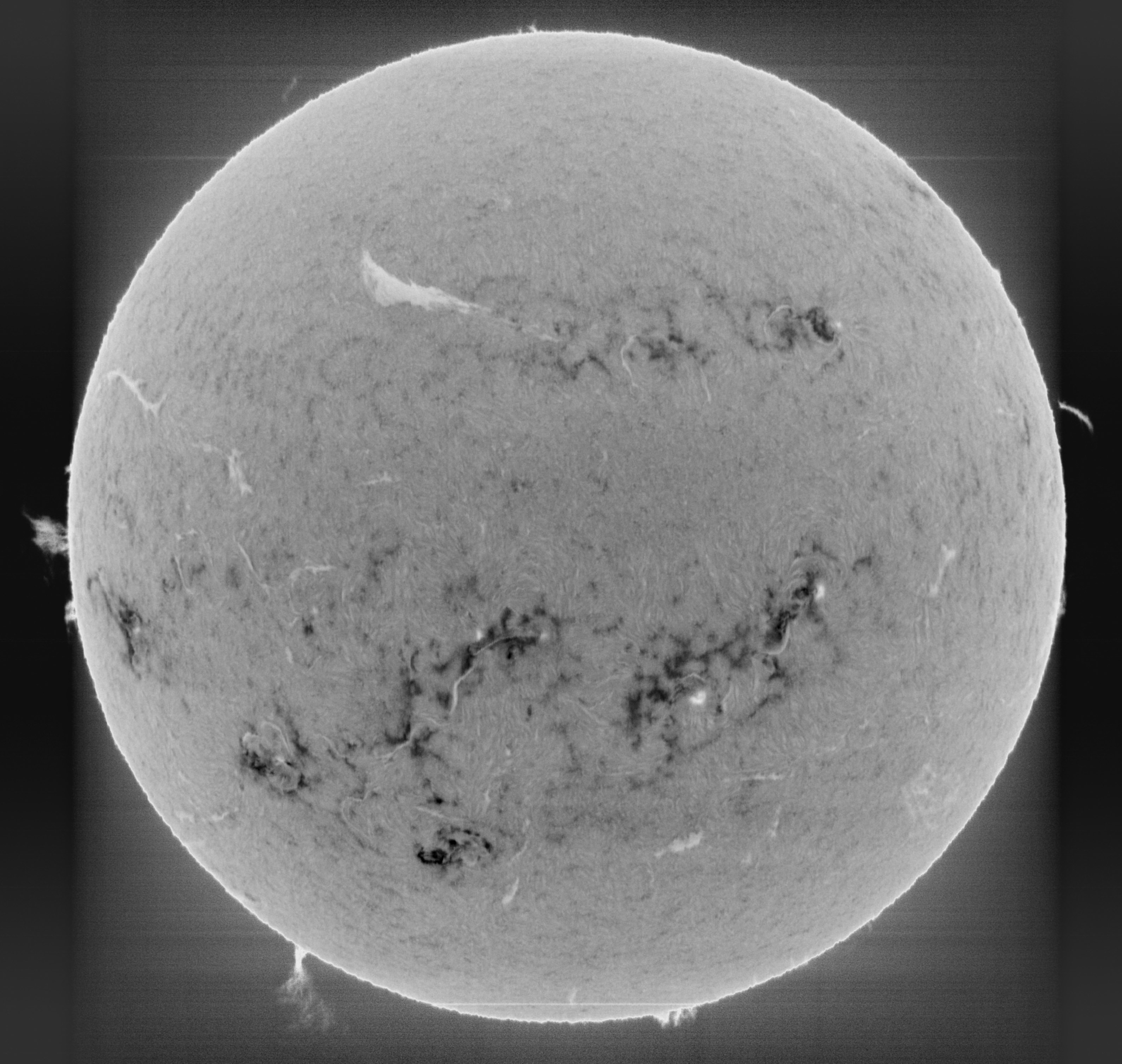 Sun_Ha_6563A_23-08-2024-invert.jpg