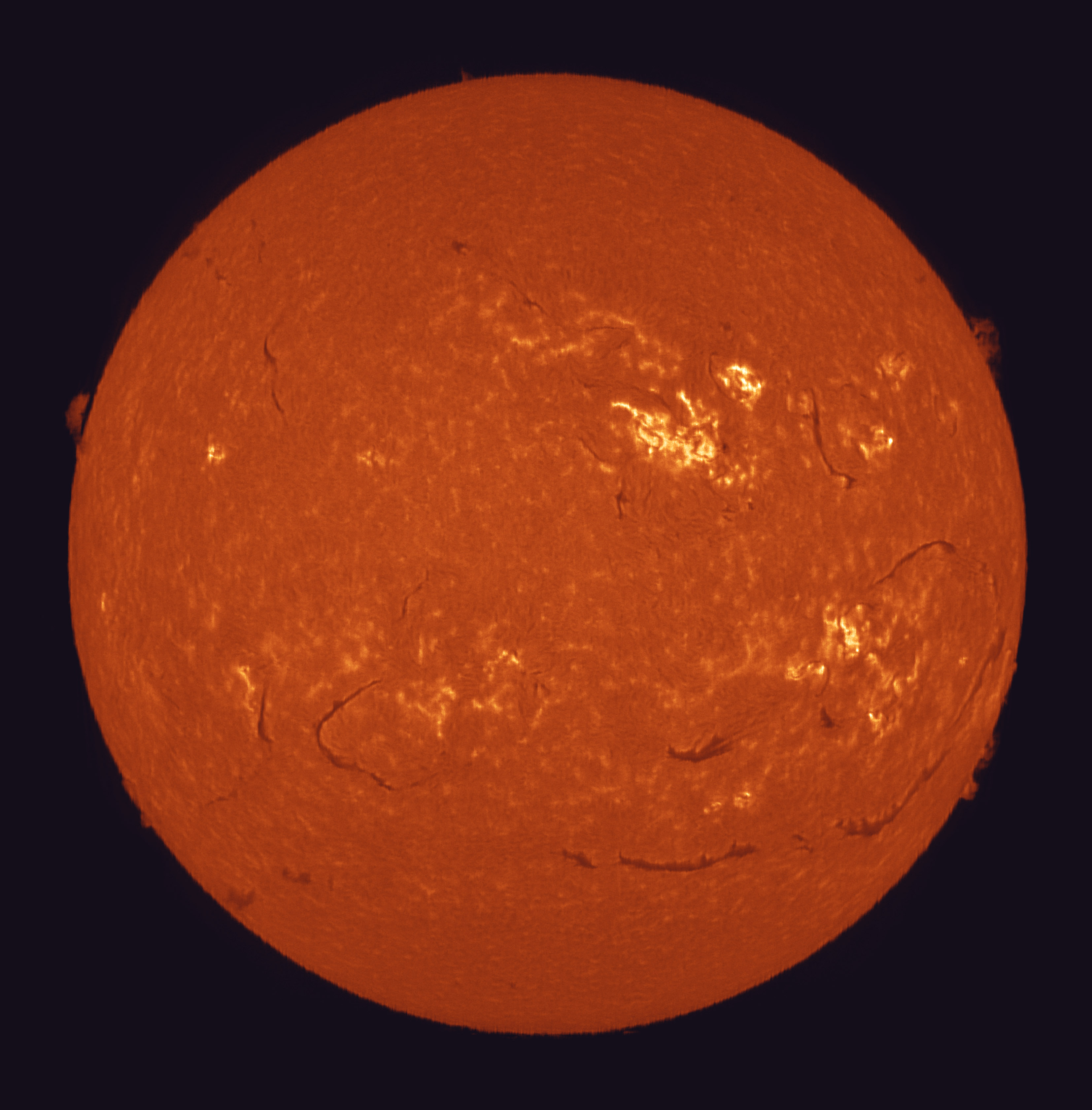 Sun_Ha_6-frames-stack_09-01-2025-color.jpg