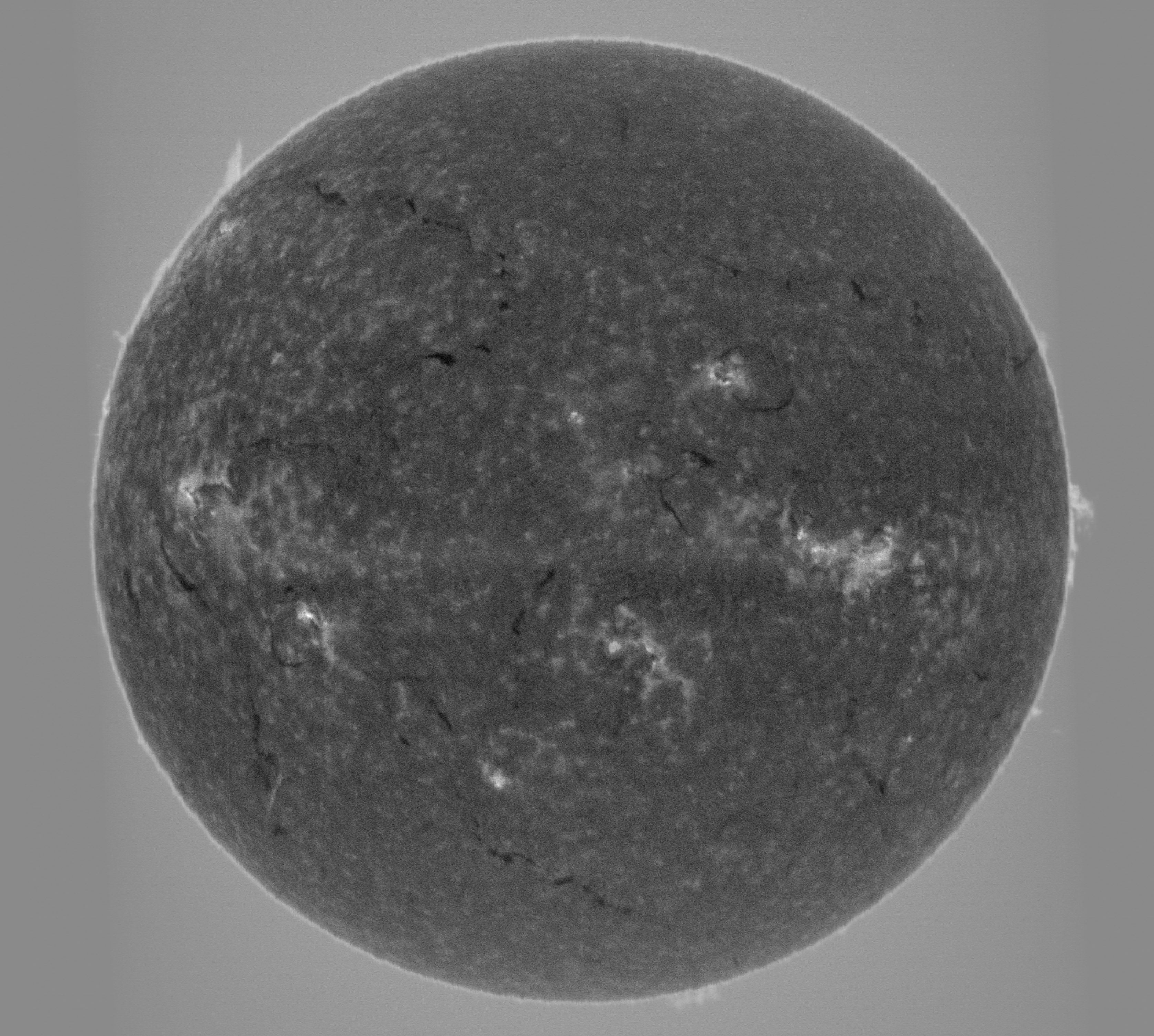 Sun_Ha_continuum-subtract-diff.jpg