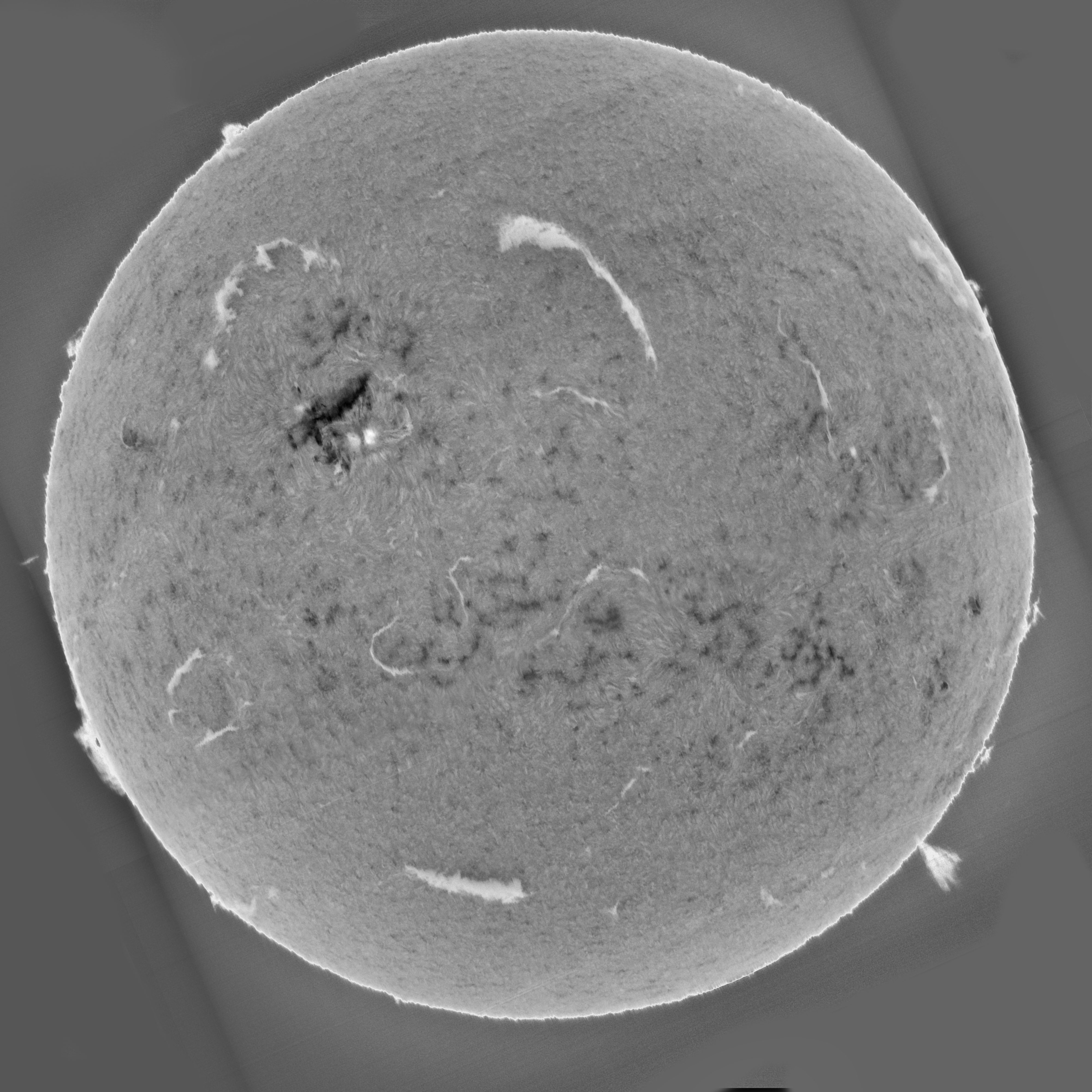 Sun_Ha_mosaic_SHG80mm_03-05-2025-invert.jpg