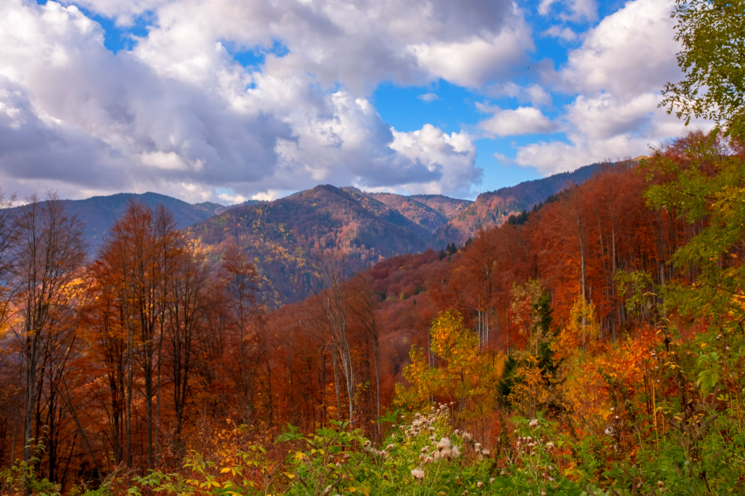the secret road in Romania (10).jpg
