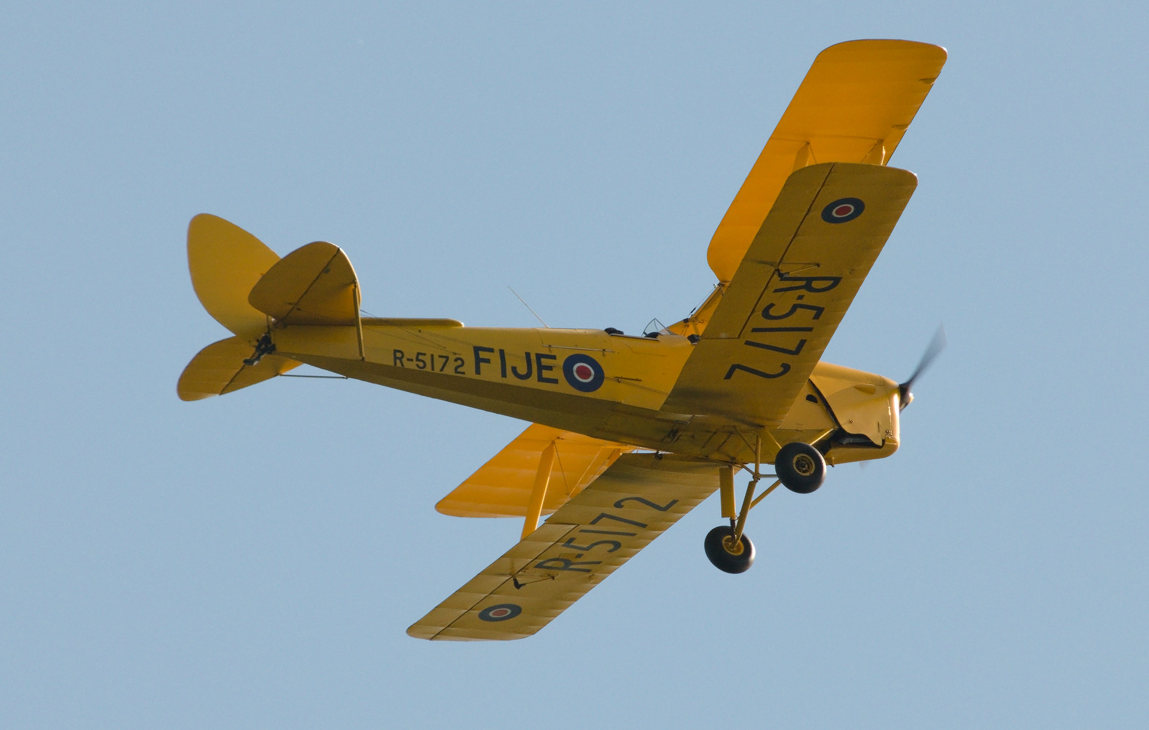 Tiger Moth 4.jpg