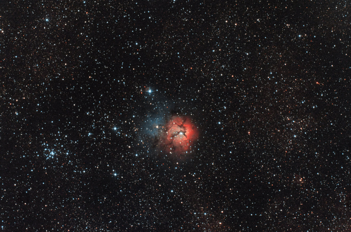 trifid_proc1_r.jpg